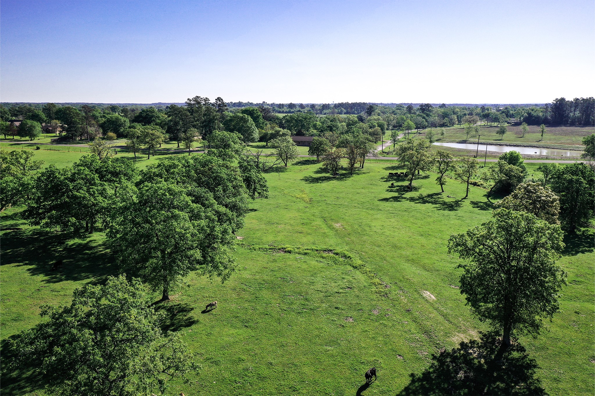 661 B Fm 2550 Property Photo 16
