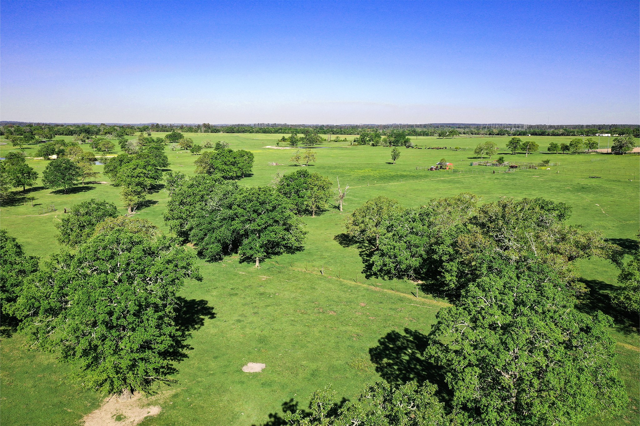 661 B Fm 2550 Property Photo 19