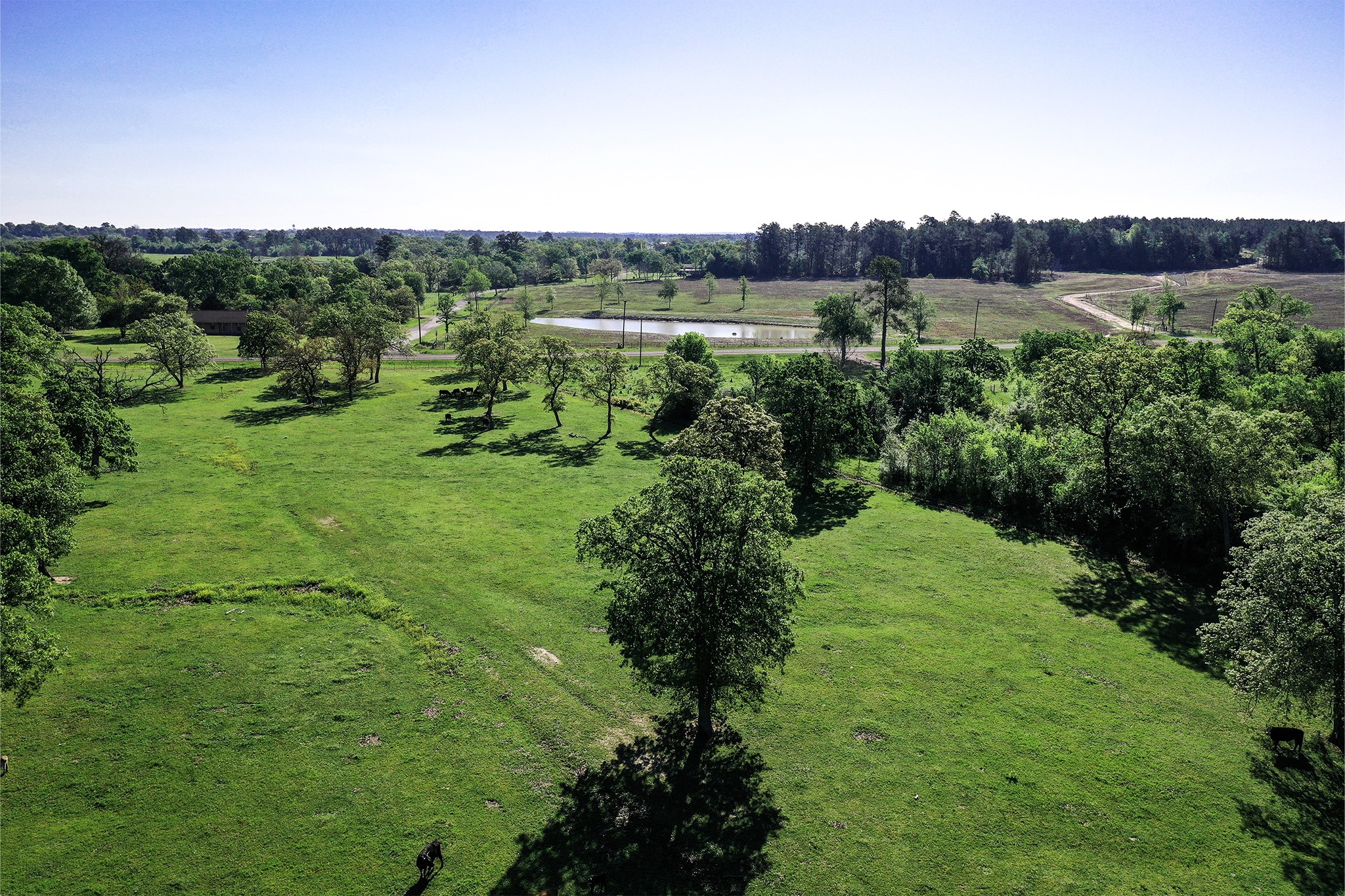 661 B Fm 2550 Property Photo 22