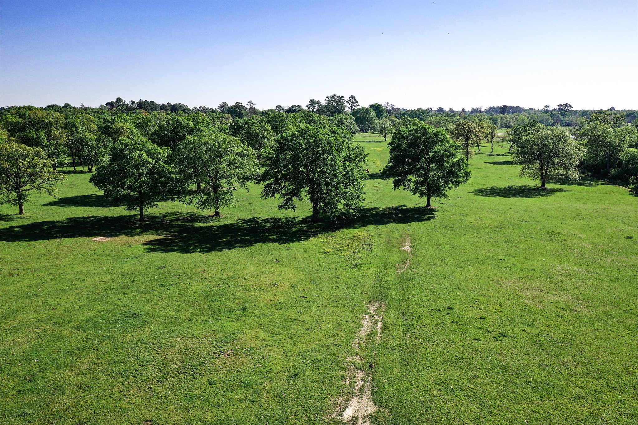 661 B Fm 2550 Property Photo 30