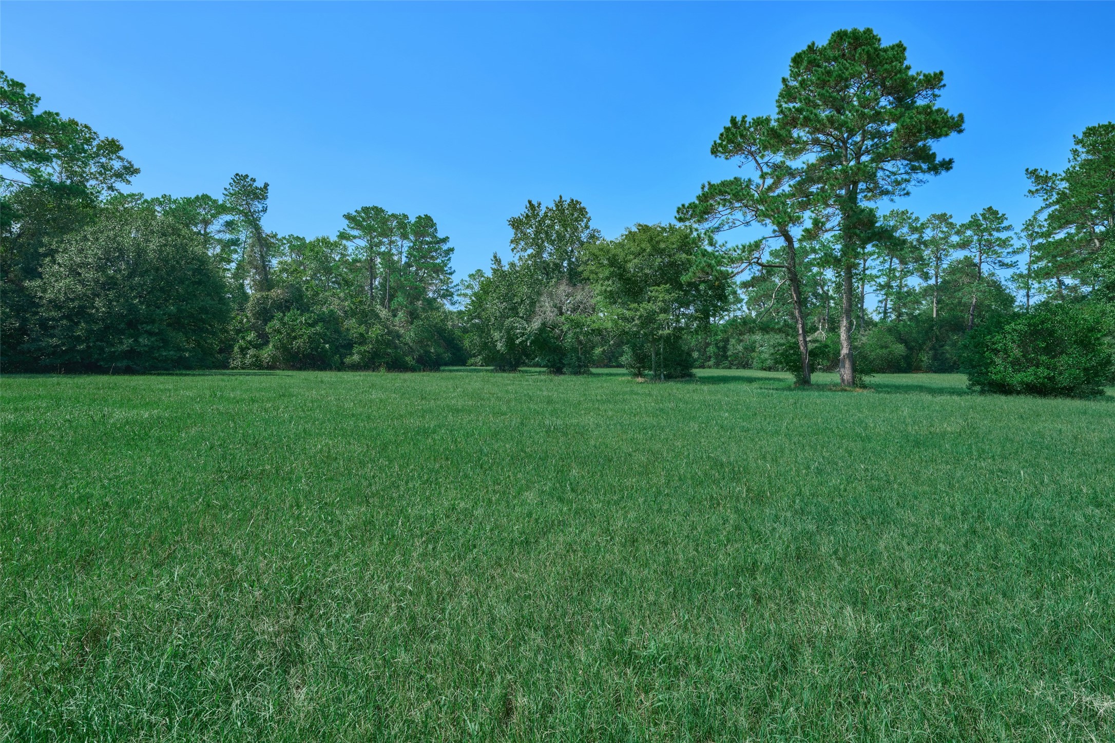 717 State Hwy 150 W Property Photo 4