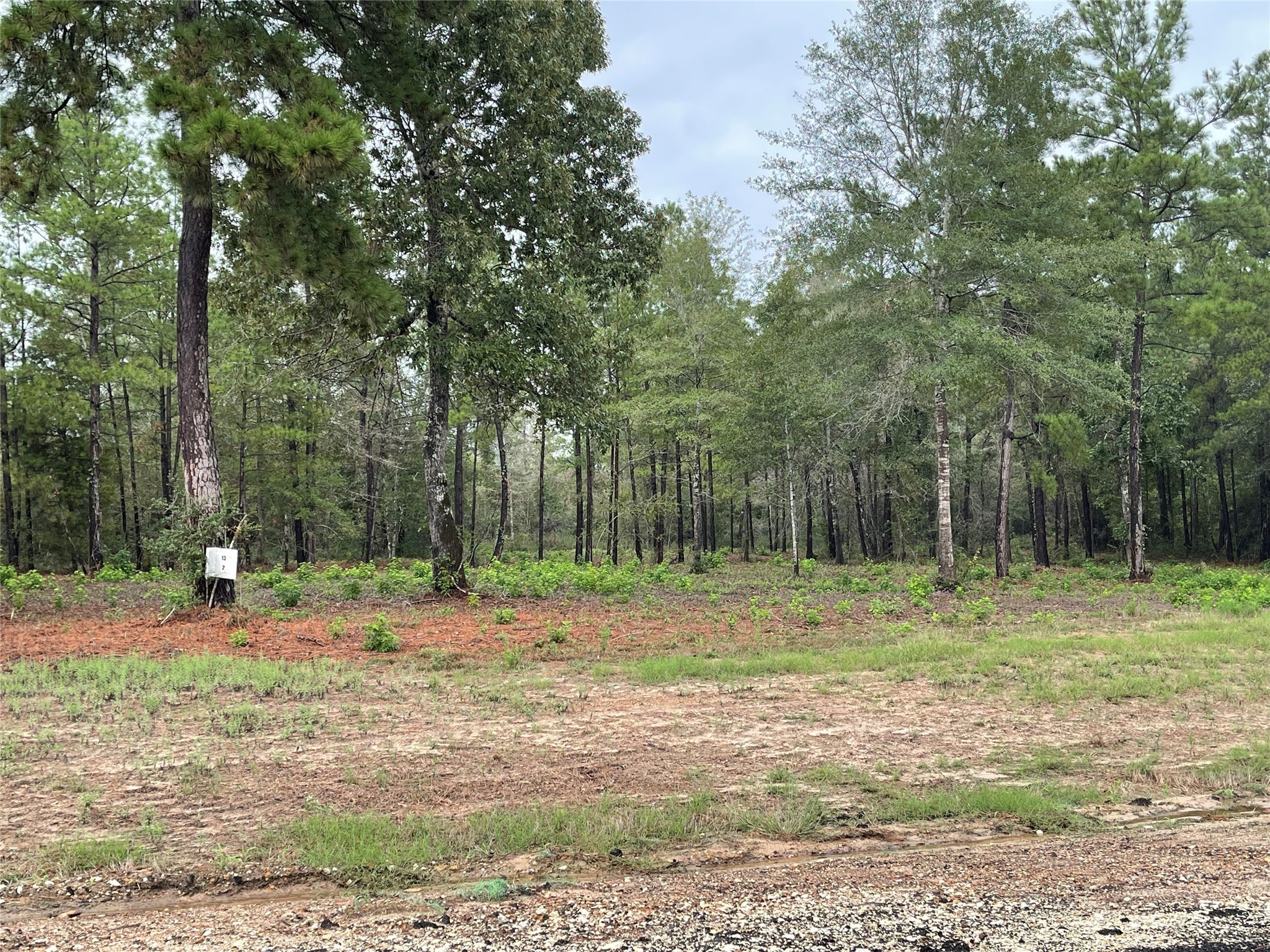157 Gypsum Road Property Photo 6