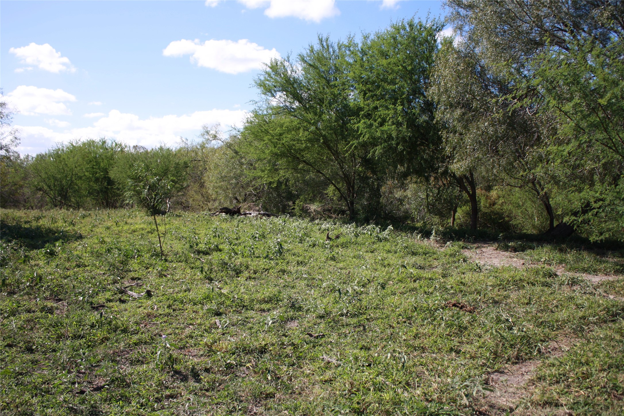 14135 County Road 1144 Property Photo 1