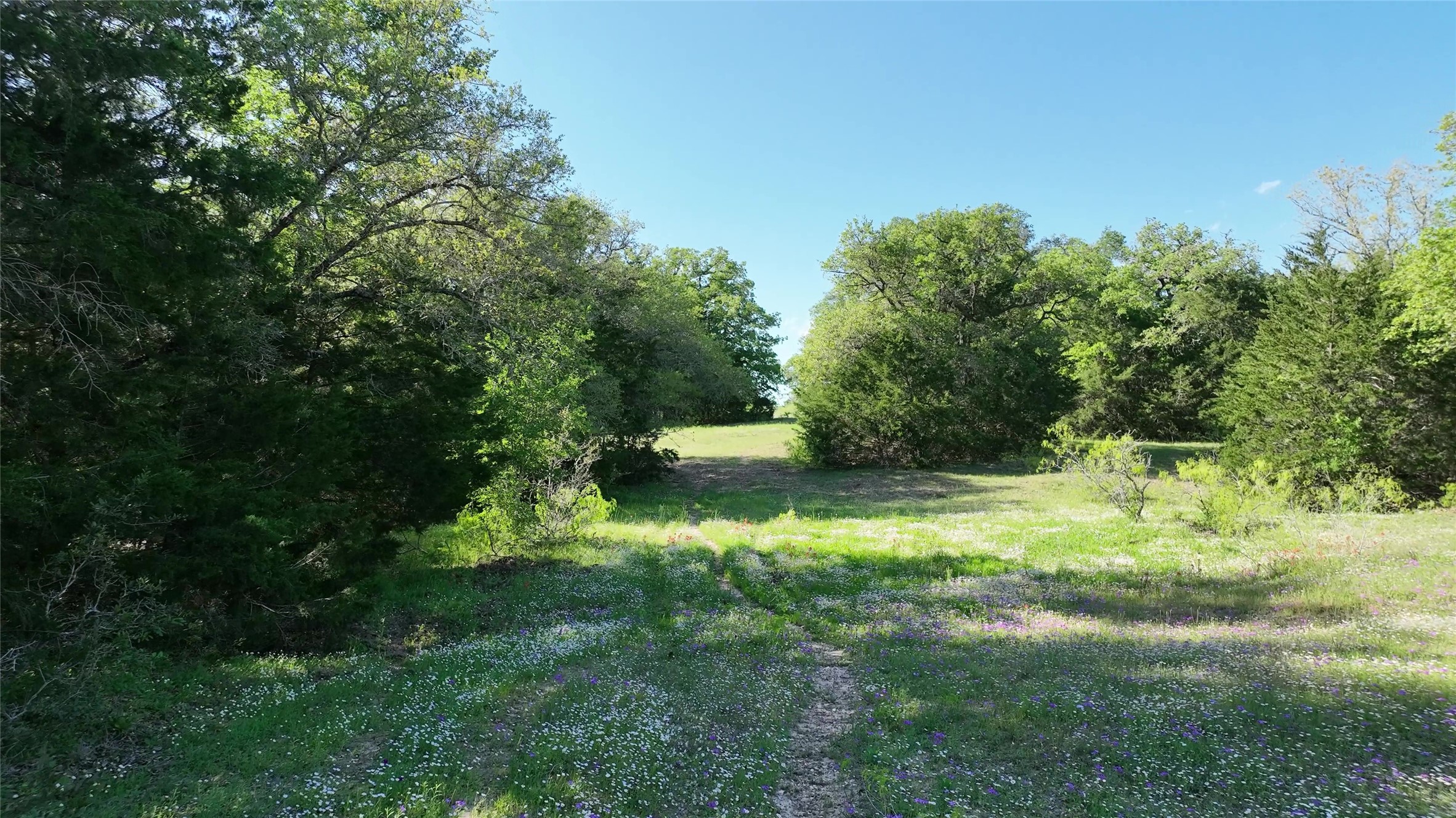 00 County Road 127 Property Photo 12