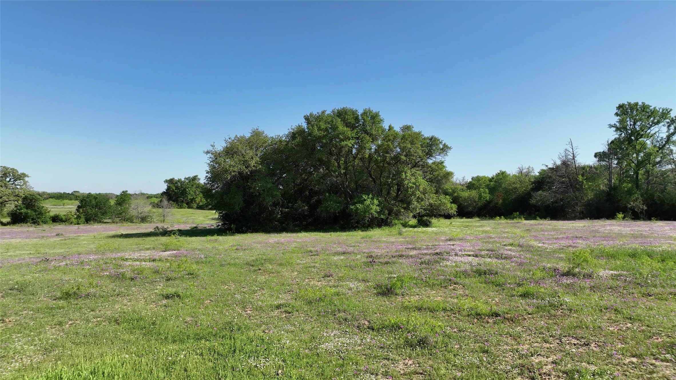 00 County Road 127 Property Photo 17
