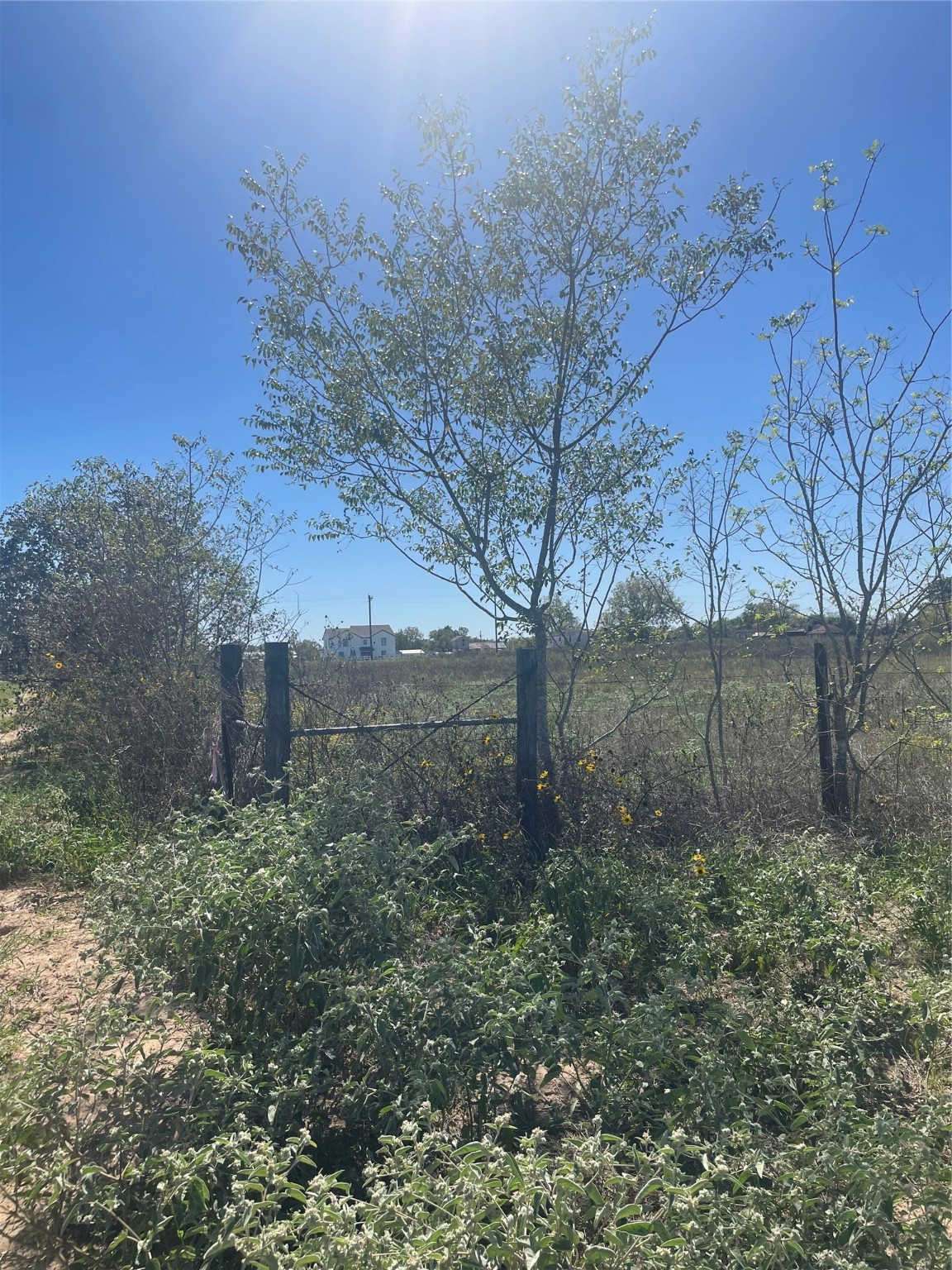 40600 Mt Zion Road Property Photo 1