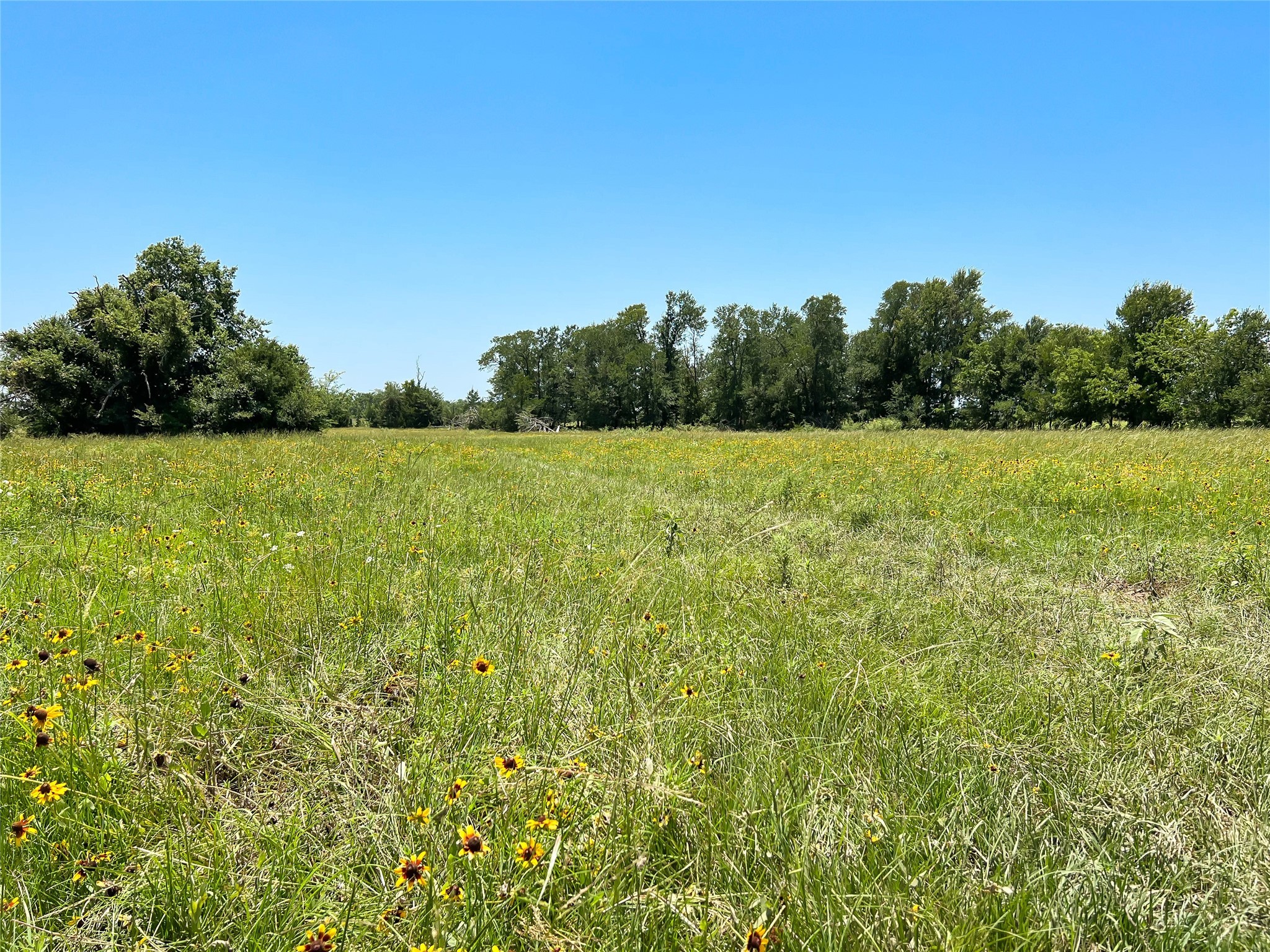 Tbd Fm 3371 Property Photo