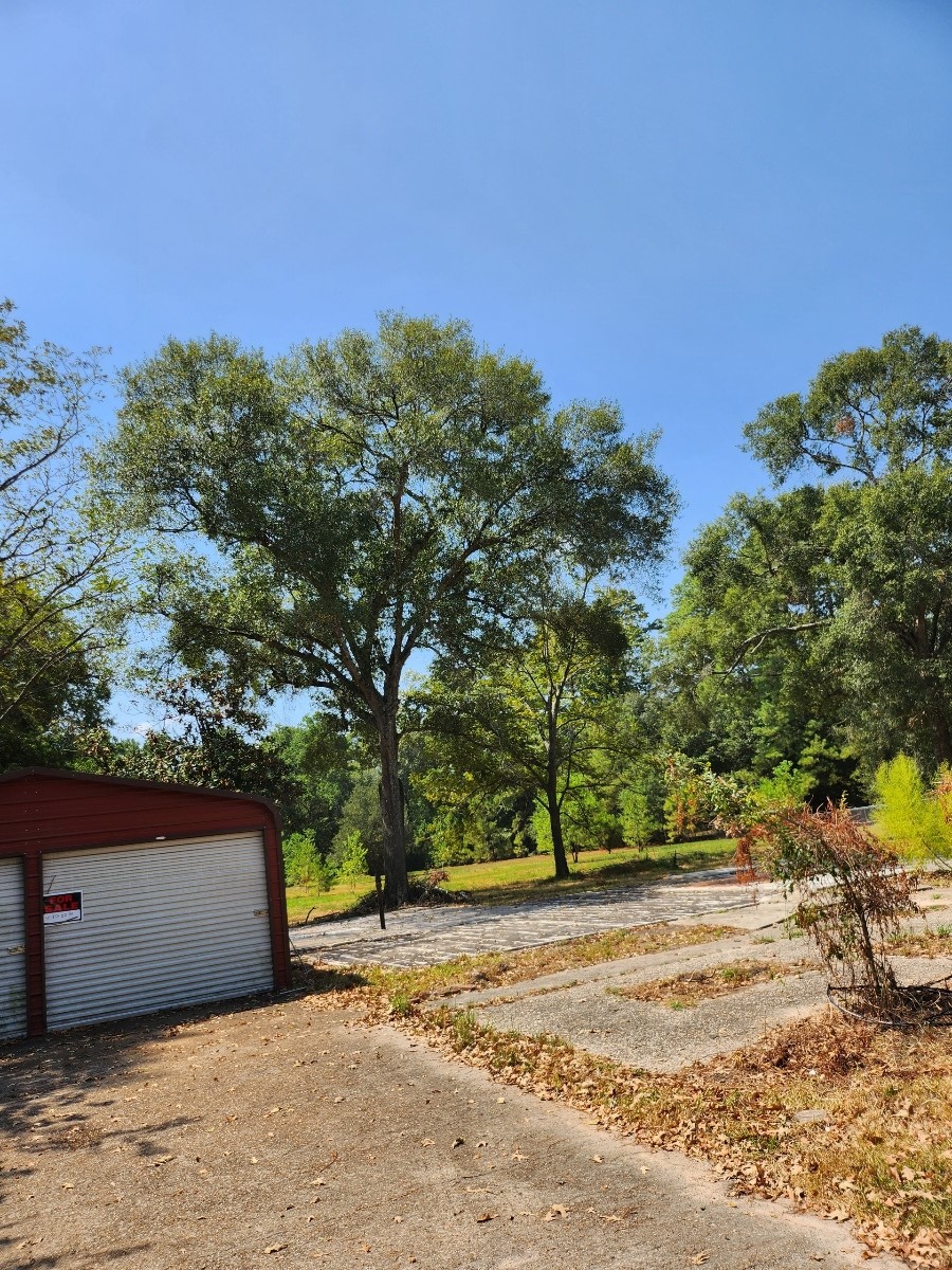 26002 Roping Pen Road Property Photo 1