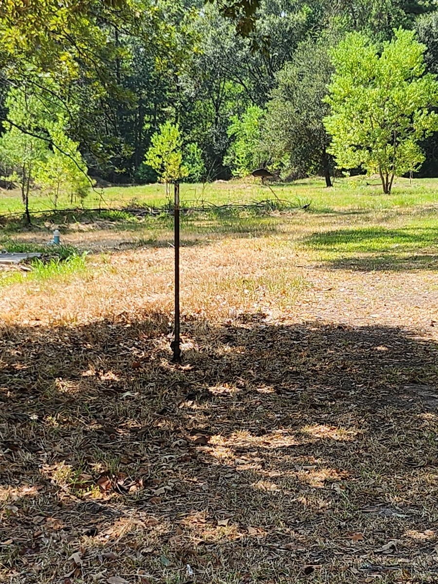 26002 Roping Pen Road Property Photo 5