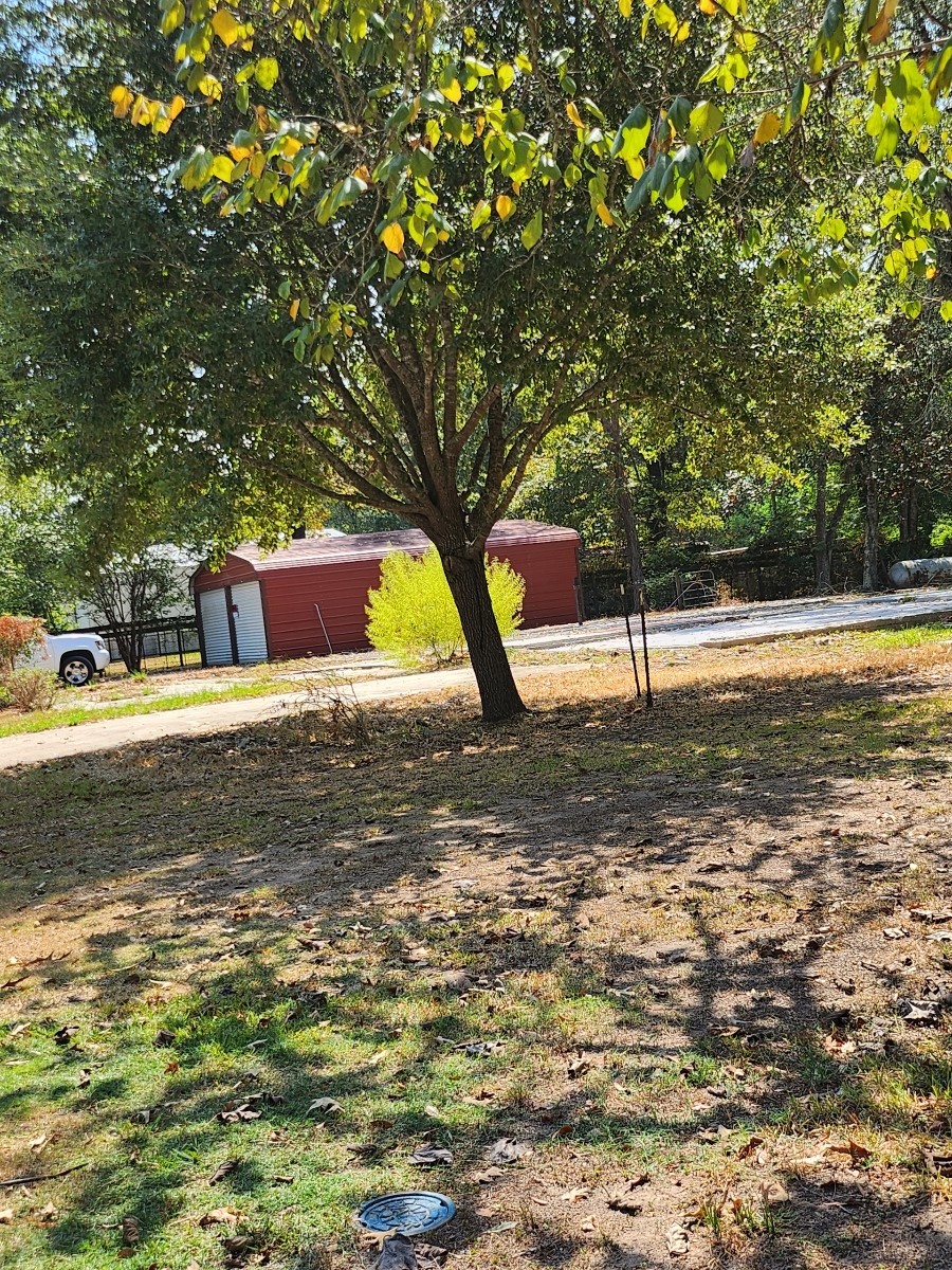 26002 Roping Pen Road Property Photo 6