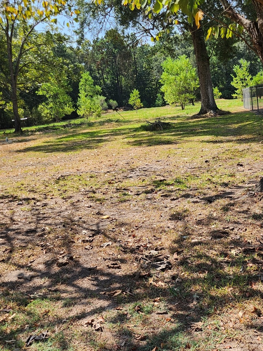 26002 Roping Pen Road Property Photo 7