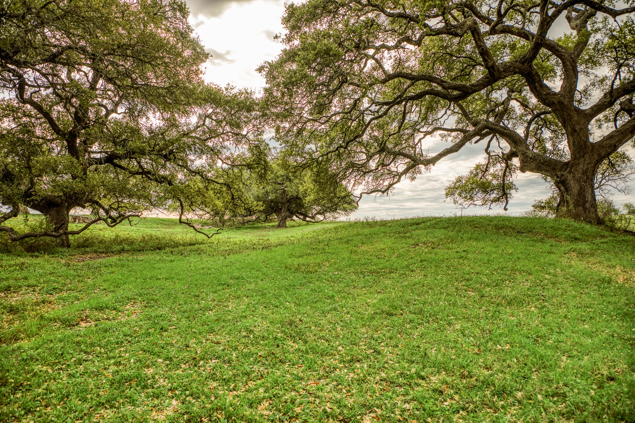 9502 Seward Plantation Road Property Photo 1