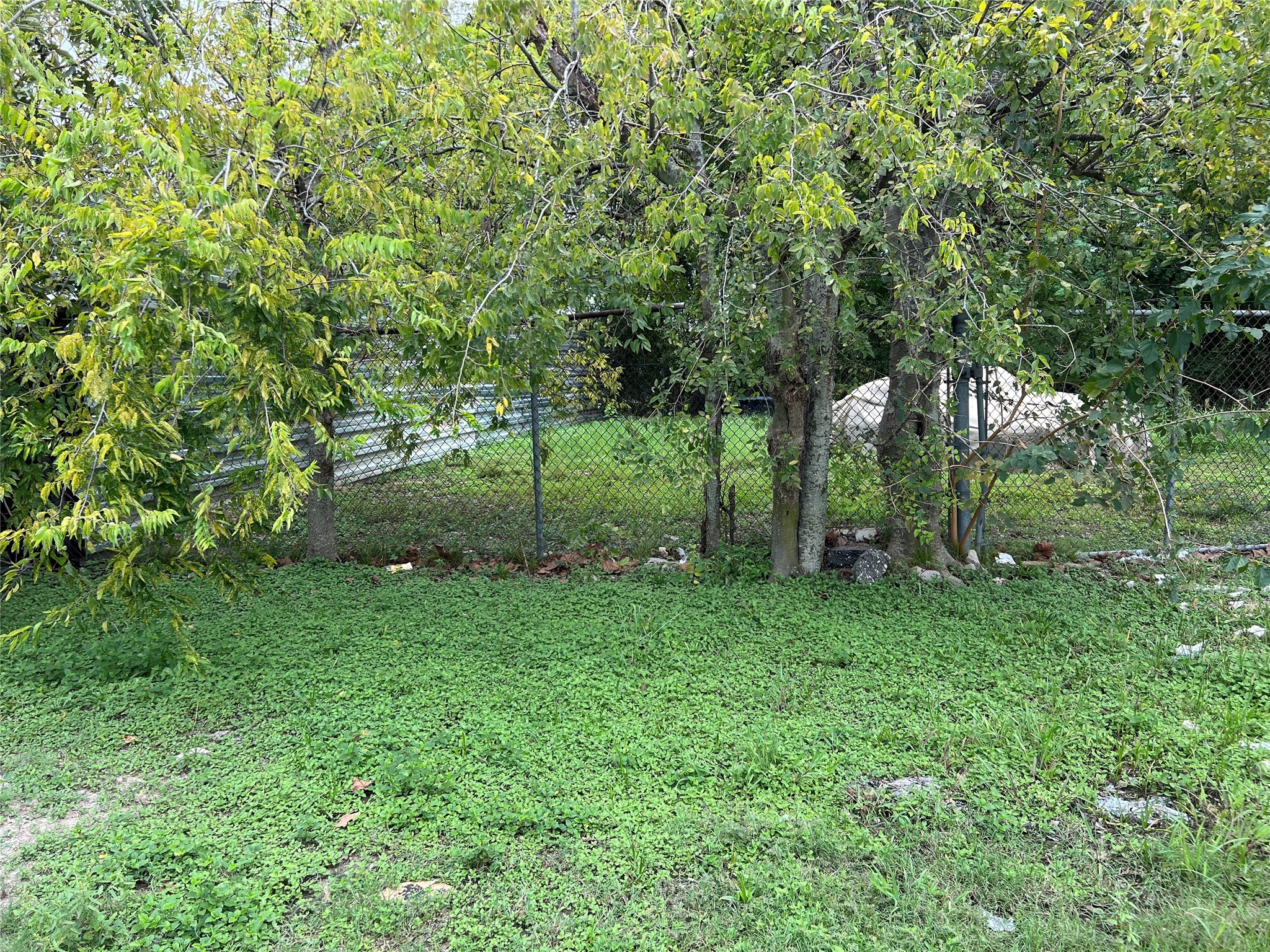 0 Avenue Of Oaks Street Property Photo 1