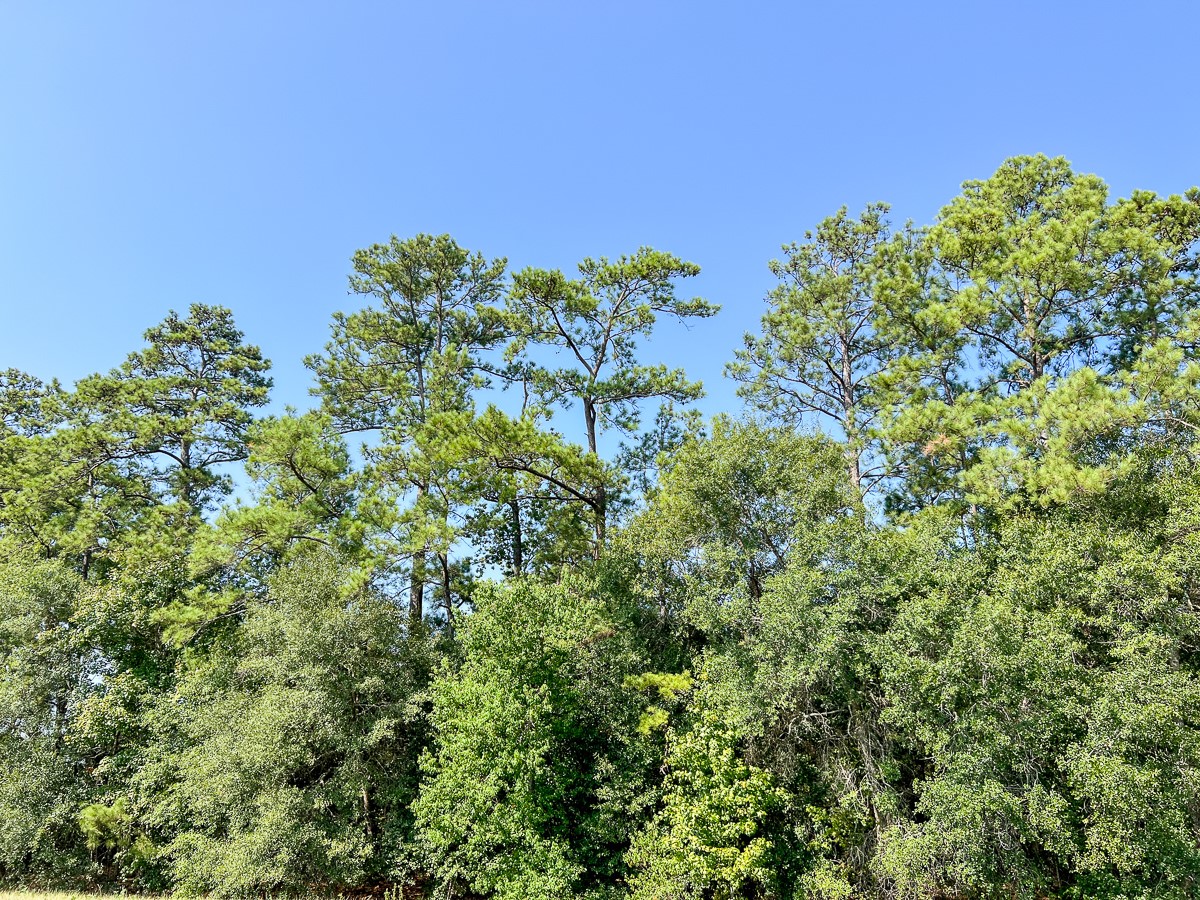 01 Fm 1008 Property Photo 6