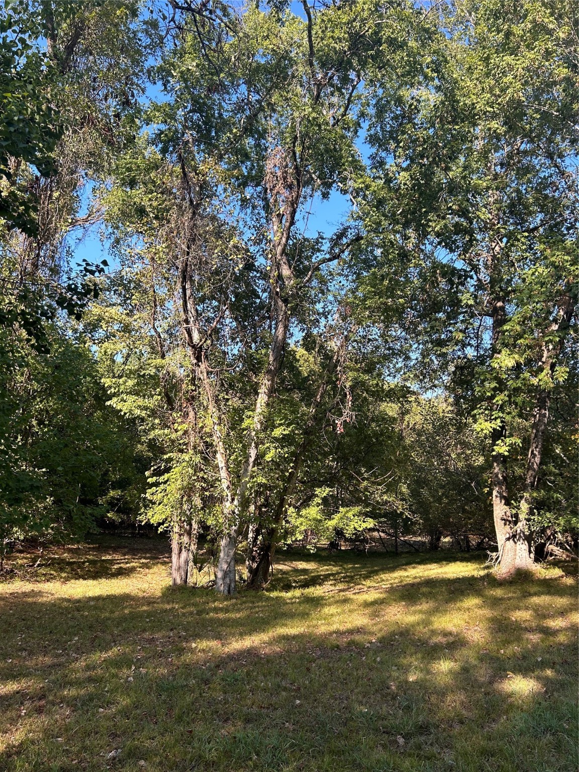 Tbd Jo Ann Trail Property Photo 1