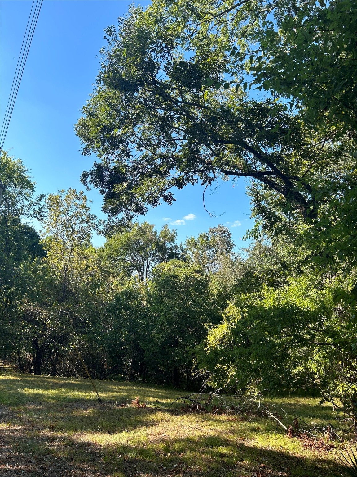 Tbd Jo Ann Trail Property Photo 3