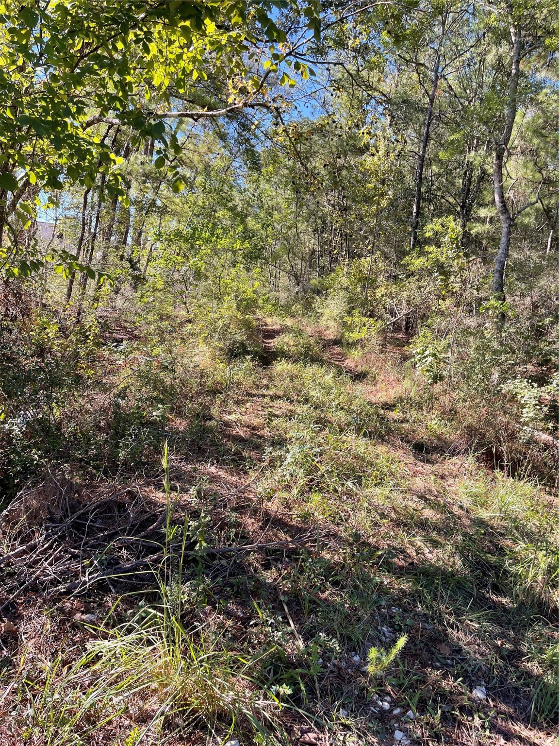 0000 Fm 2090 Property Photo 1