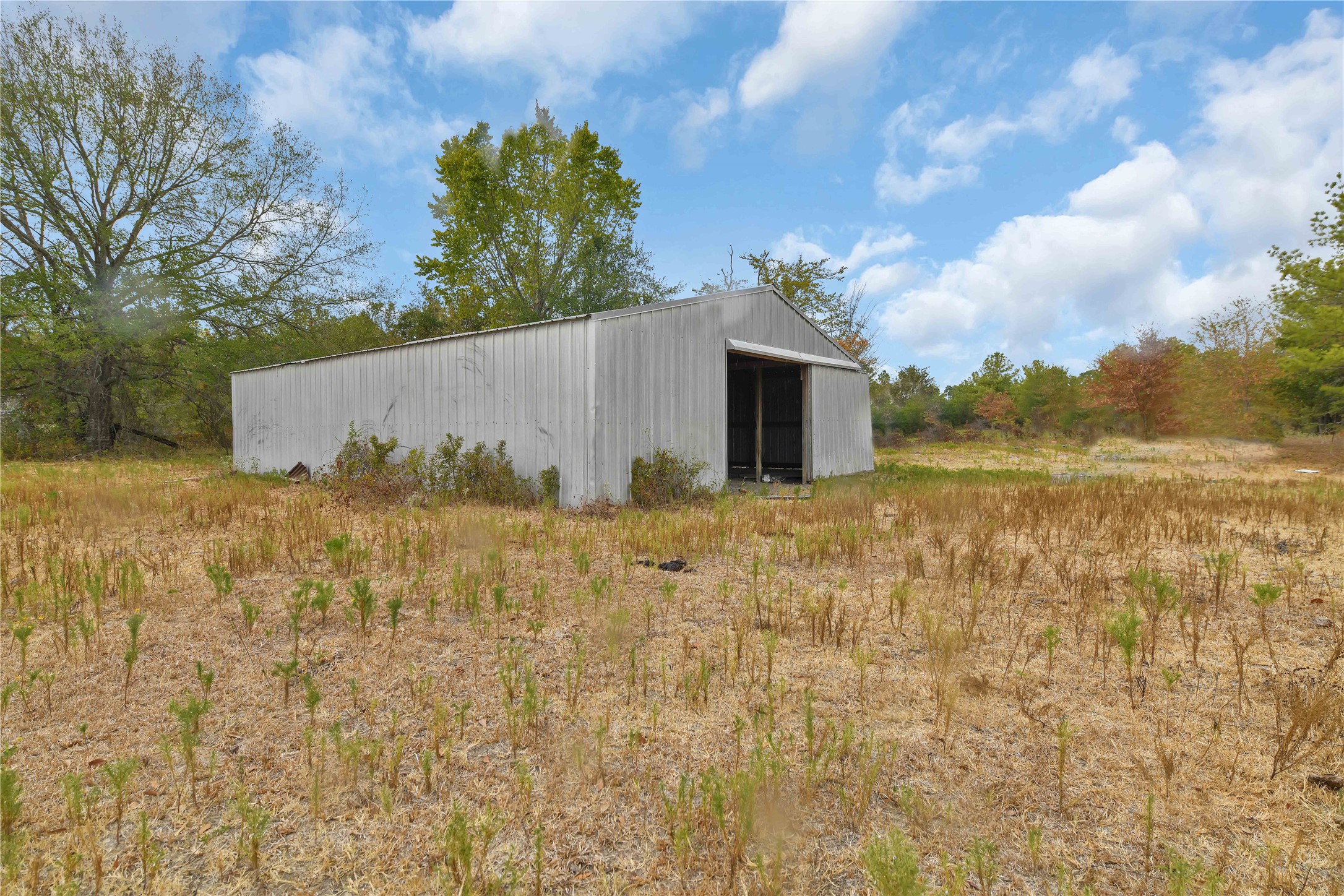 372 Dickey Loop Property Photo 3