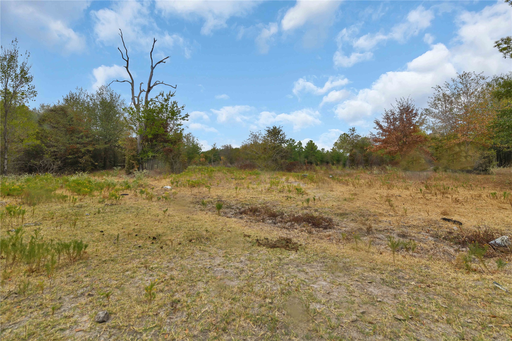 372 Dickey Loop Property Photo 4