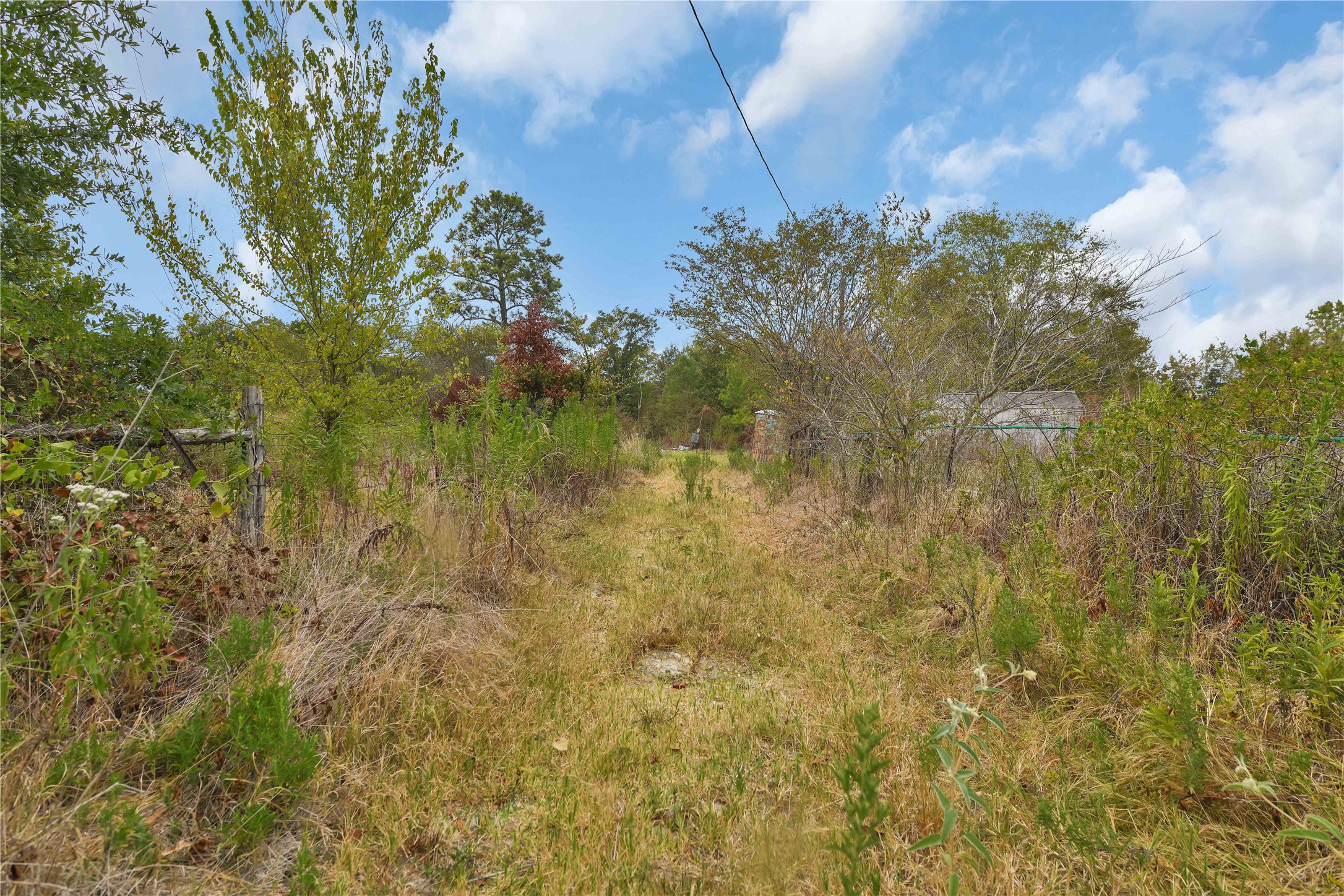 372 Dickey Loop Property Photo 12