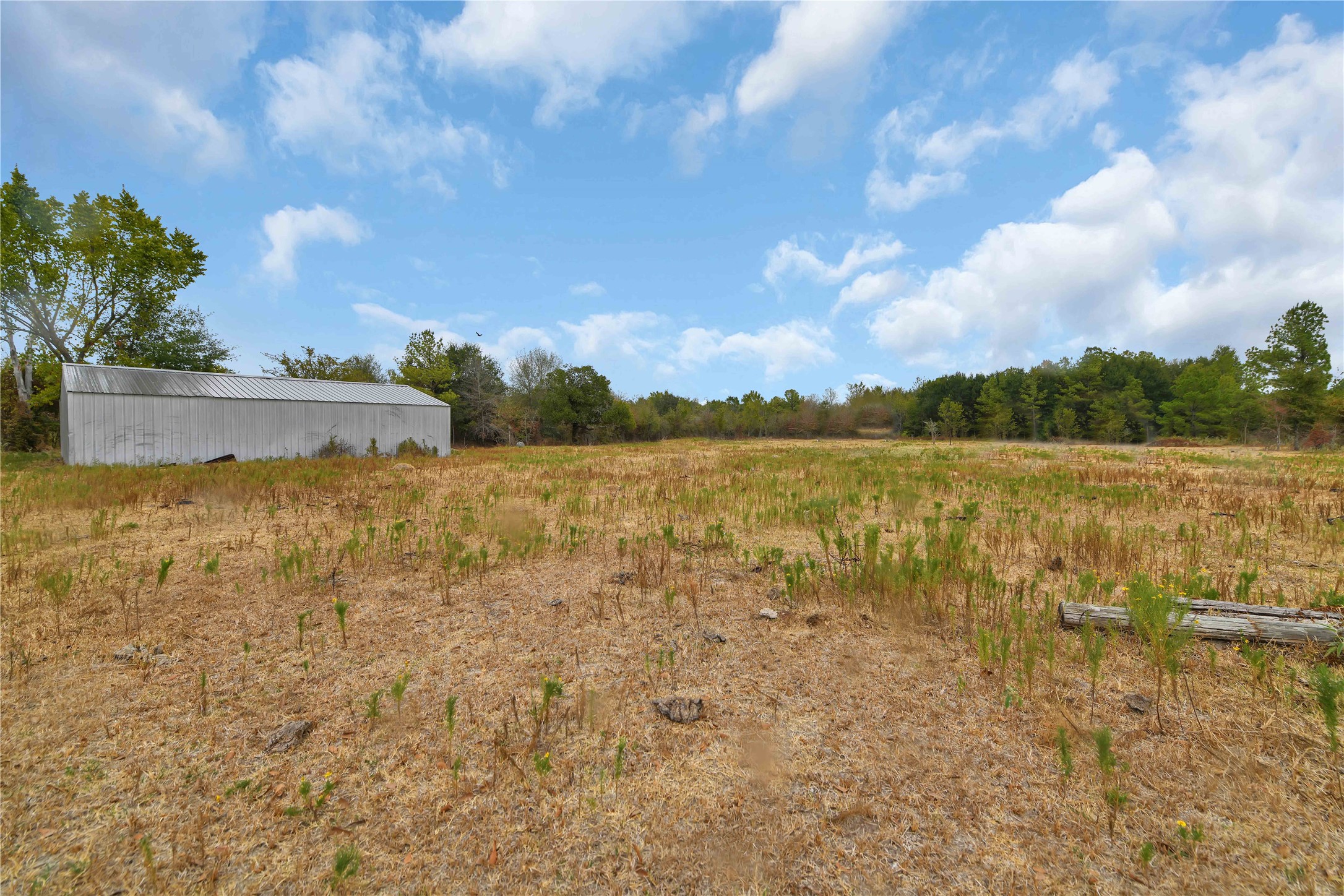 372 Dickey Loop Property Photo 14