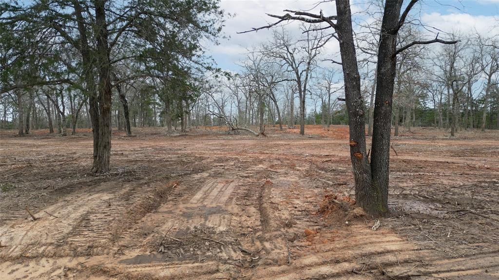 1559 Fm 535 Highway Property Photo 4