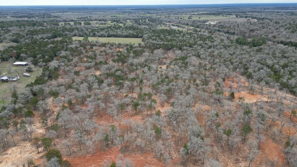 1559 Fm 535 Highway Property Photo 5