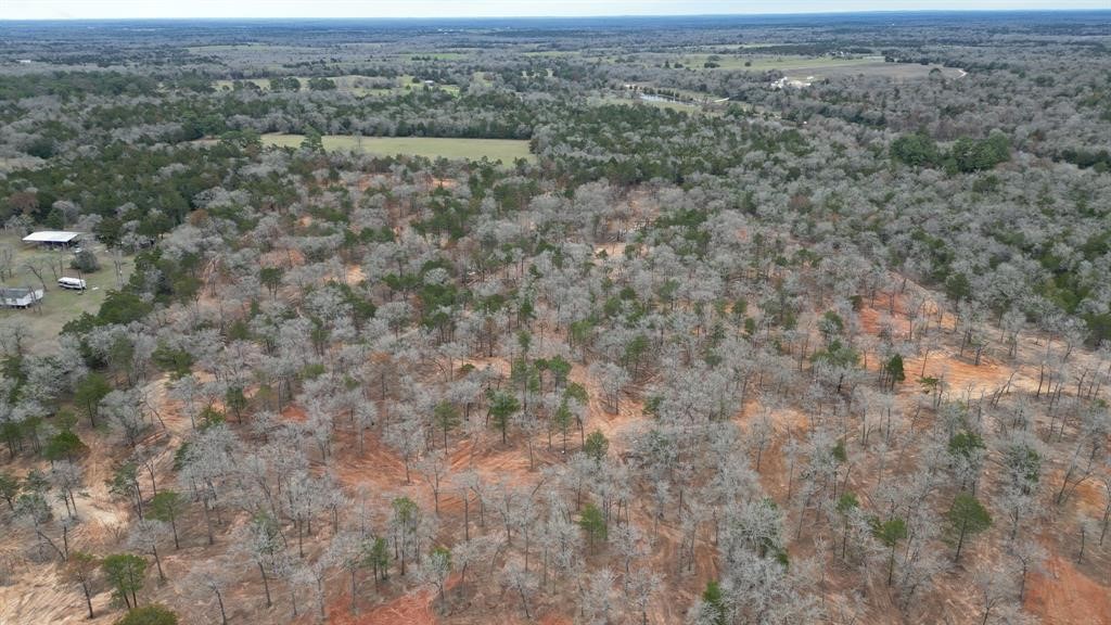 1559 Fm 535 Highway Property Photo 6