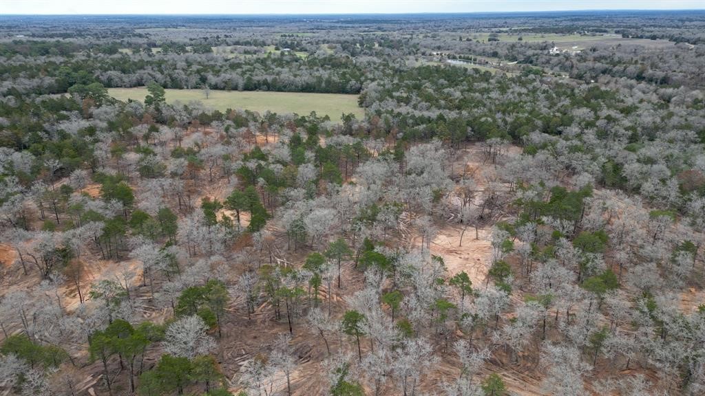 1559 Fm 535 Highway Property Photo 7