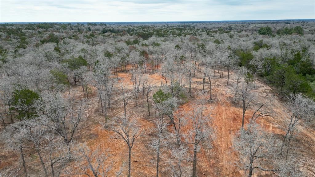 1559 Fm 535 Highway Property Photo 8