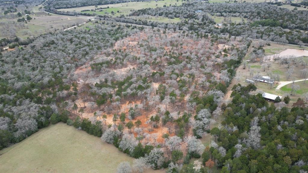 1559 Fm 535 Highway Property Photo 11