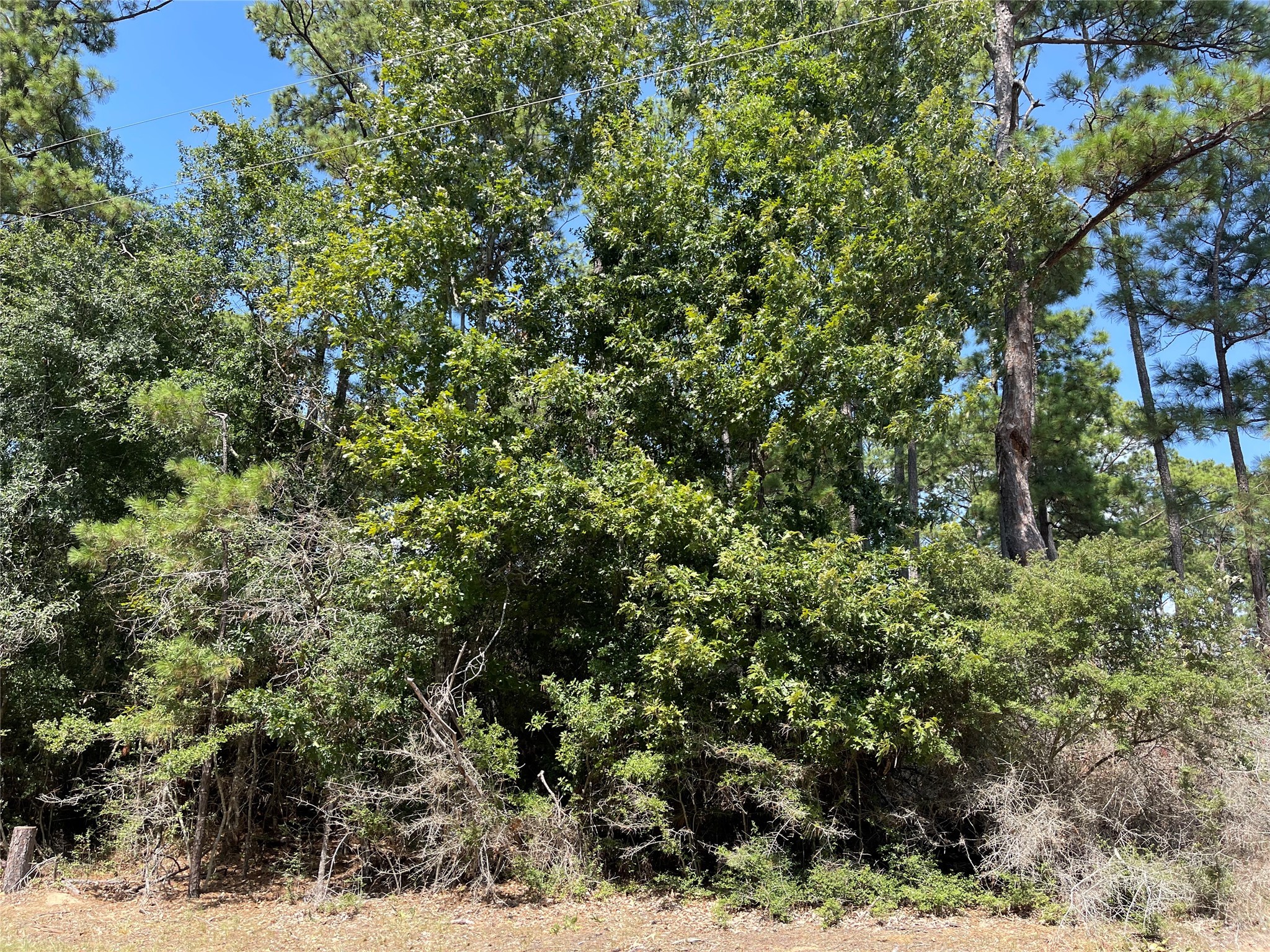 TBDDDDD Valleyview Drive Property Photo 1
