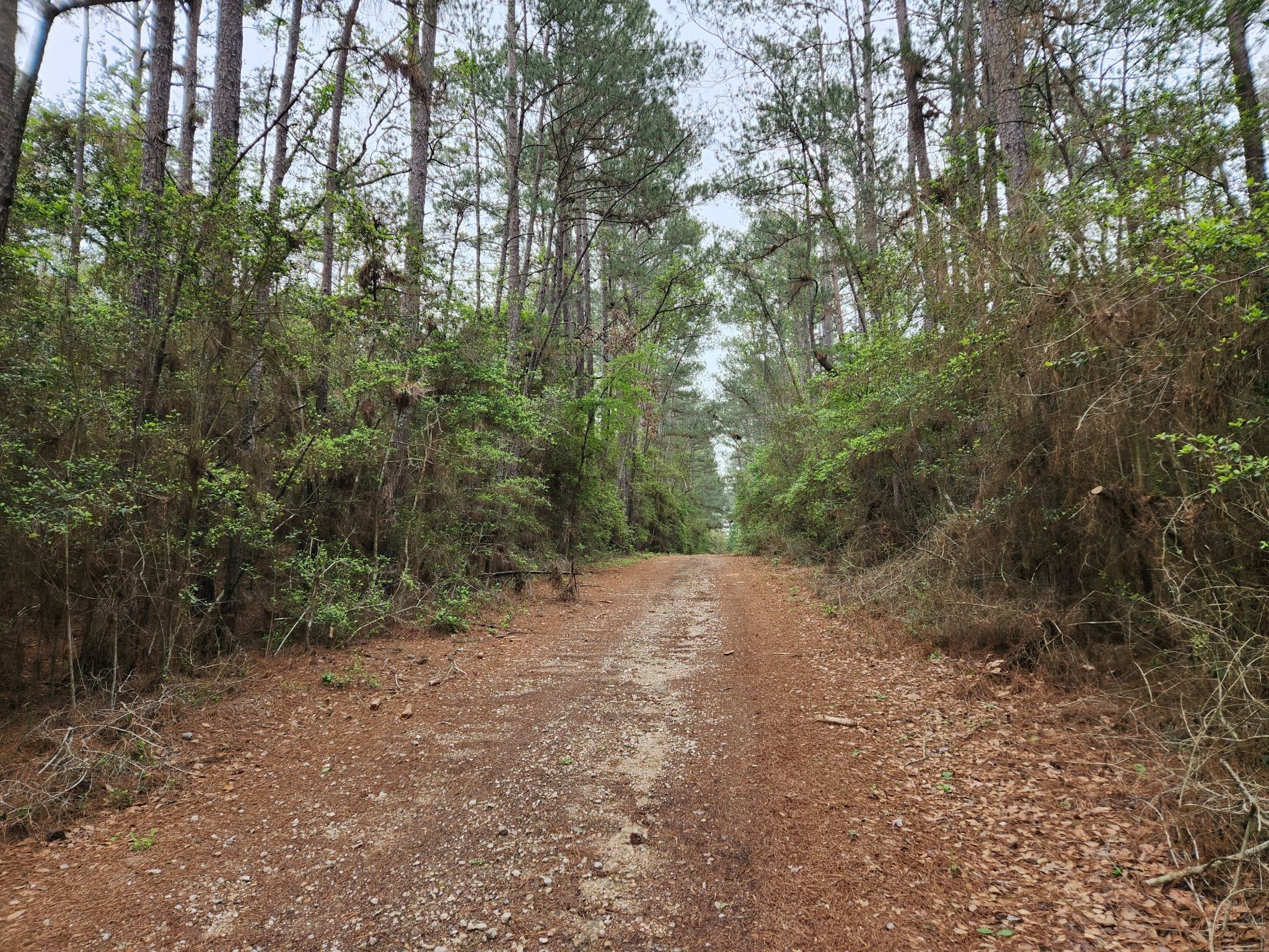 Lot 25 North Council Drive Property Photo 1