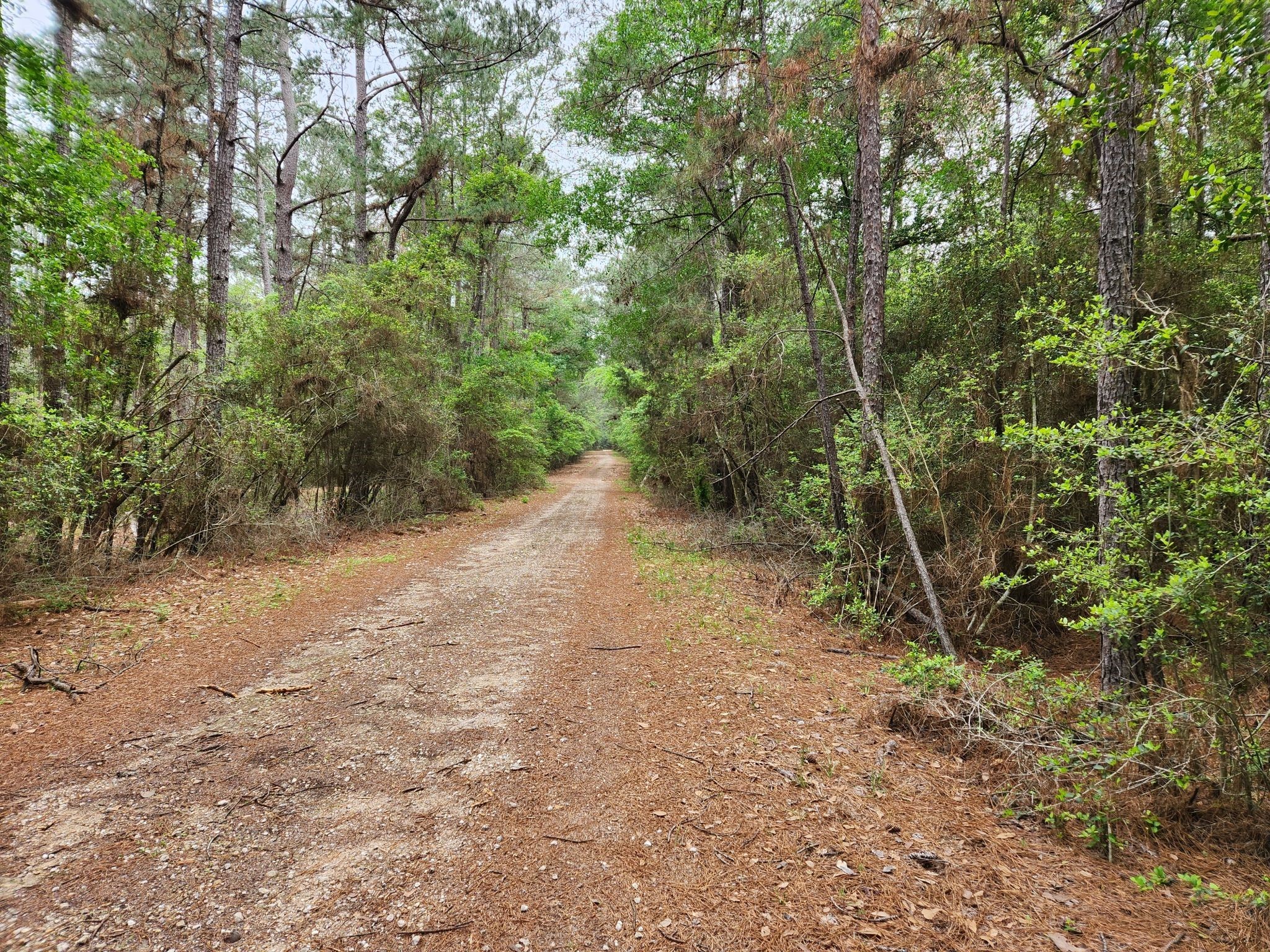 Lot 25 North Council Drive Property Photo 7