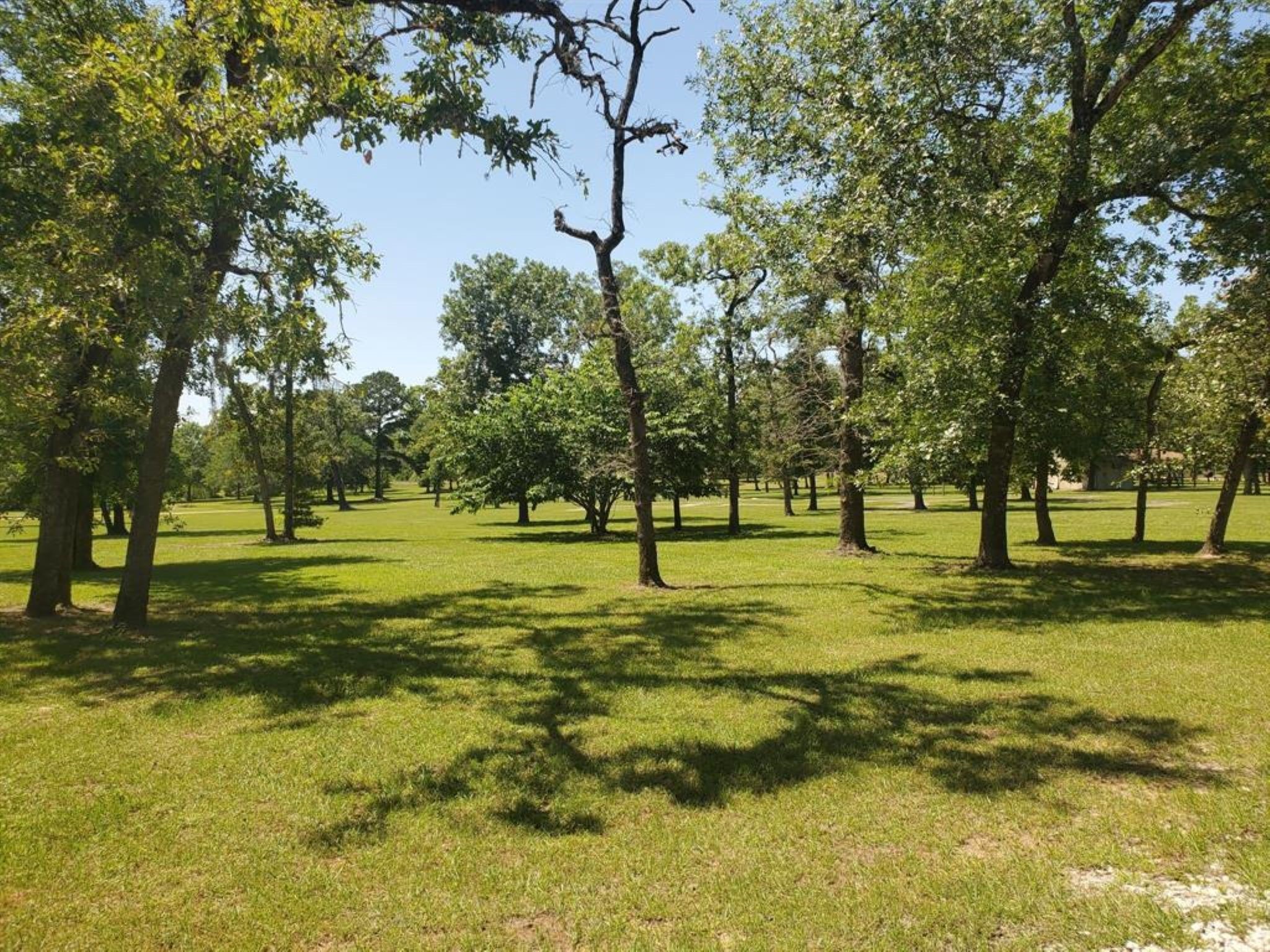 Lot 25 North Council Drive Property Photo 23