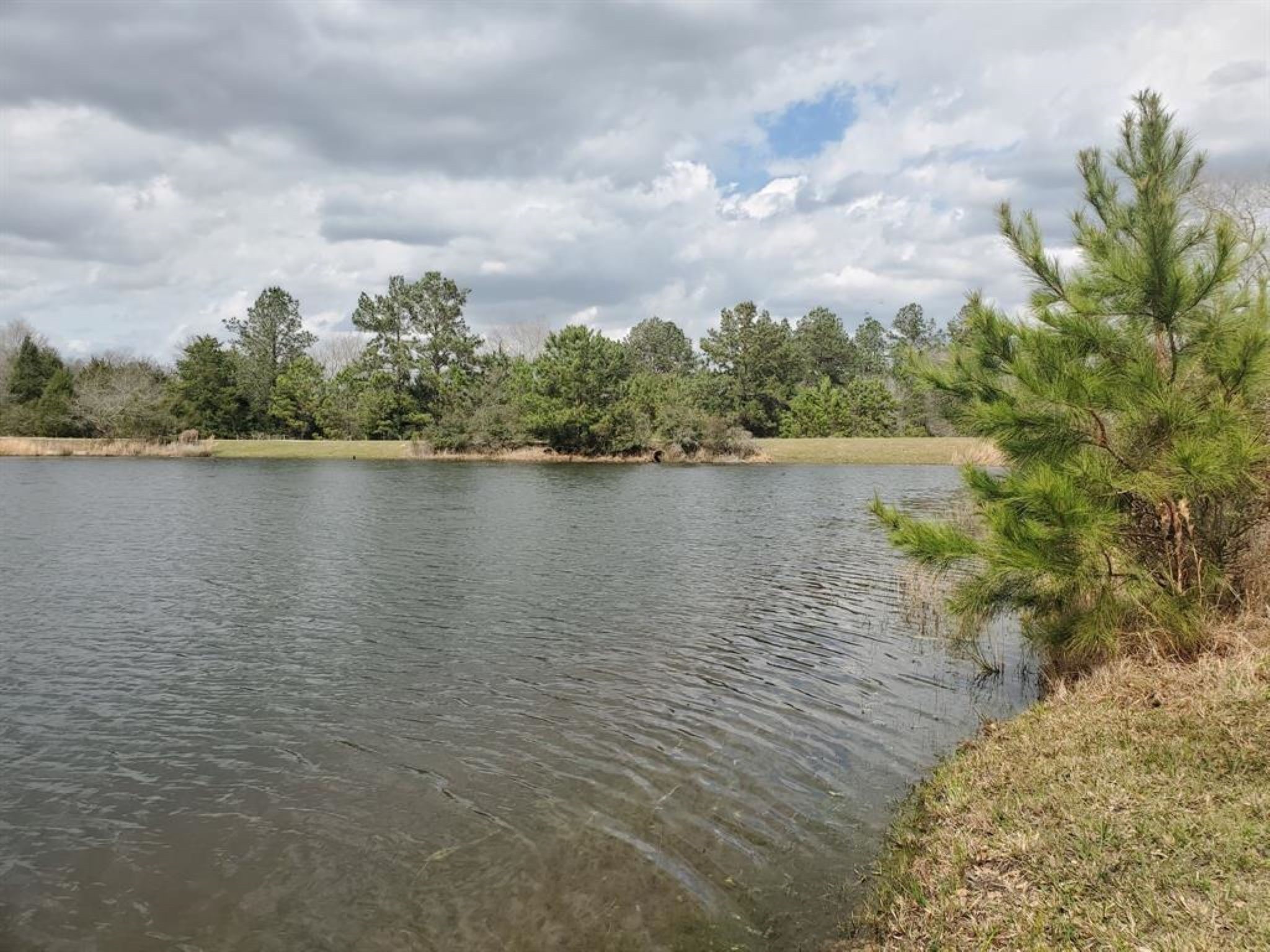 Lot 25 North Council Drive Property Photo 24