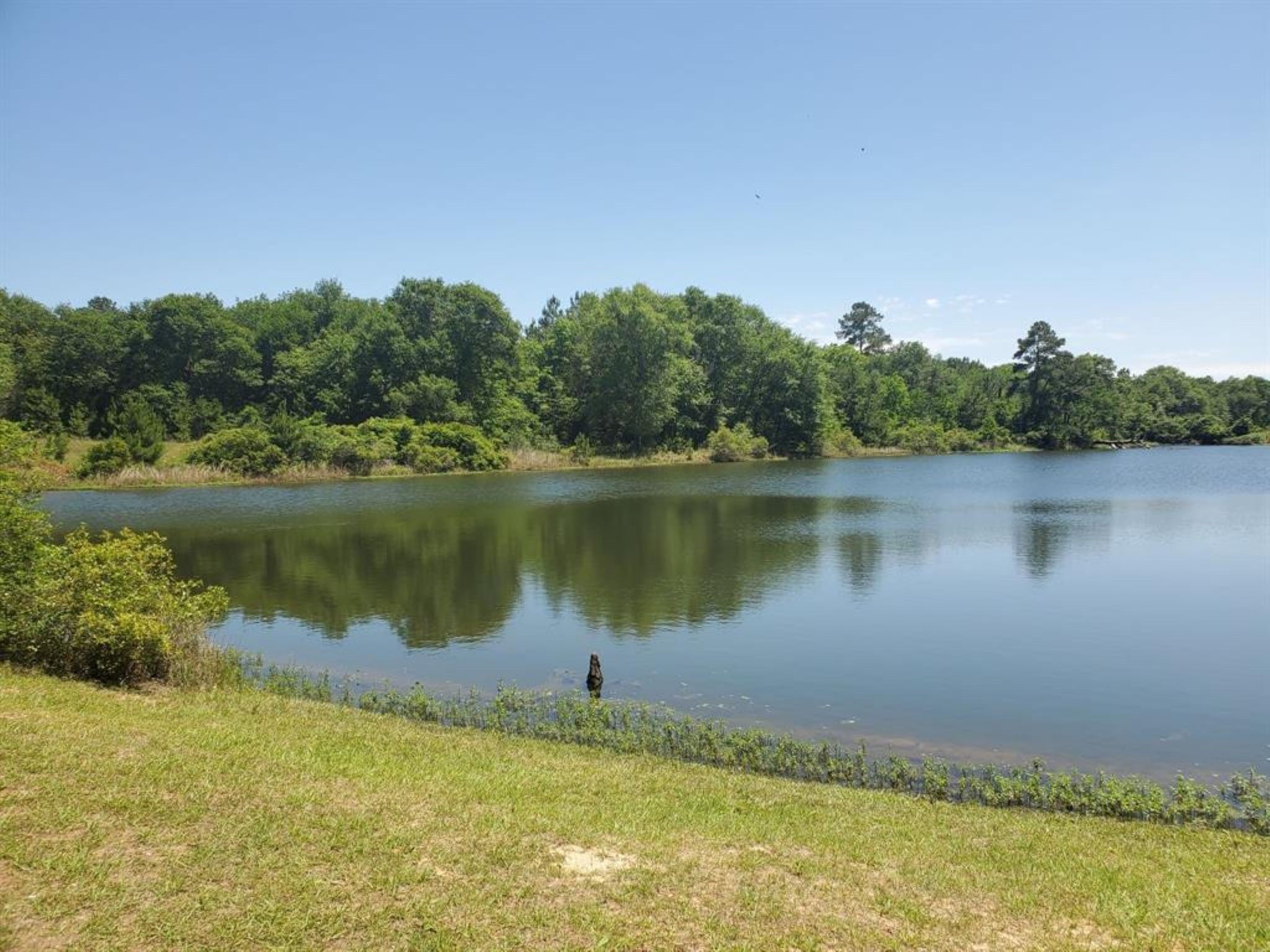 Lot 25 North Council Drive Property Photo 25