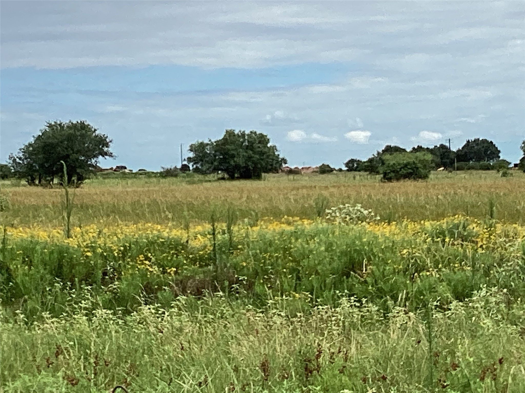 Lot 88 Gadwall Lane Property Photo