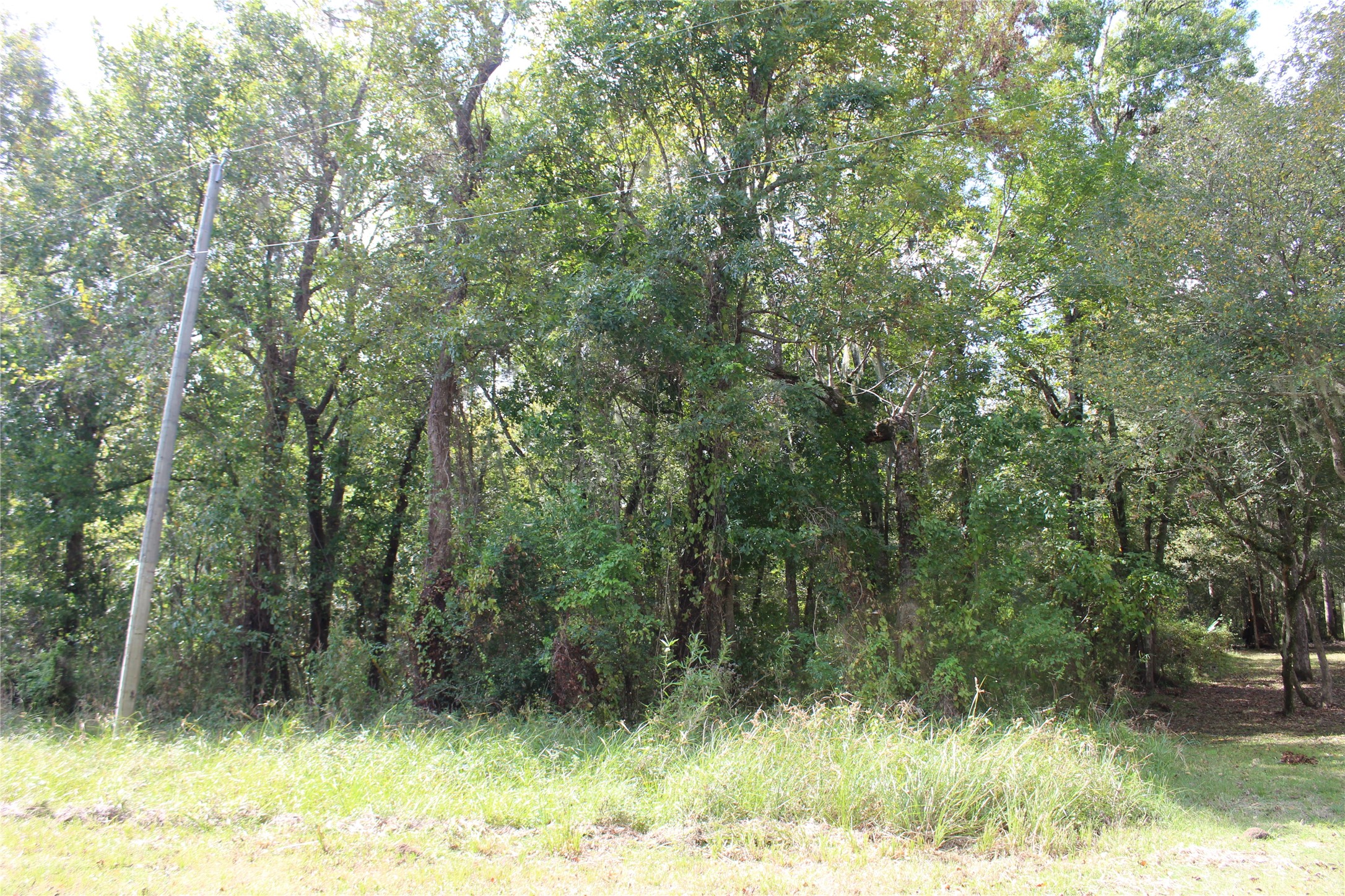 Tbd Sean Court Property Photo 5