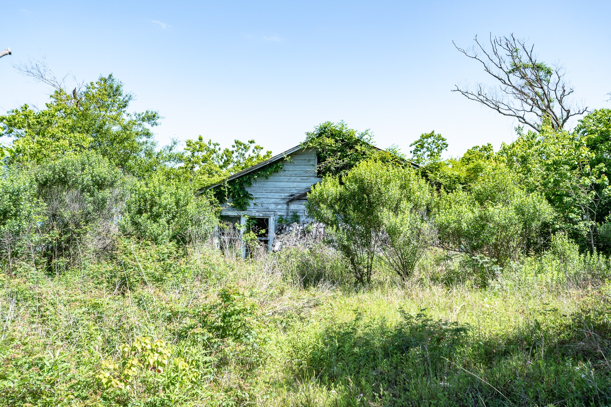 26587 Brice Lane Property Photo 5