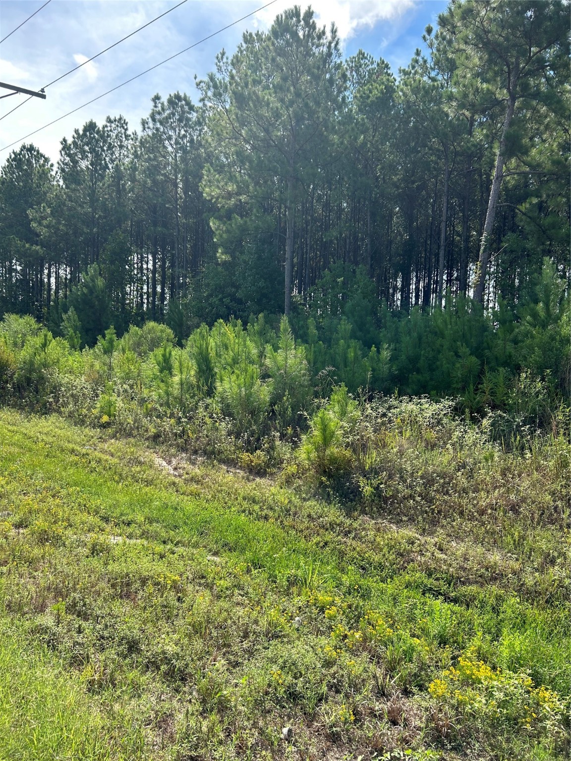 2966 County Road 3545 Property Photo 2