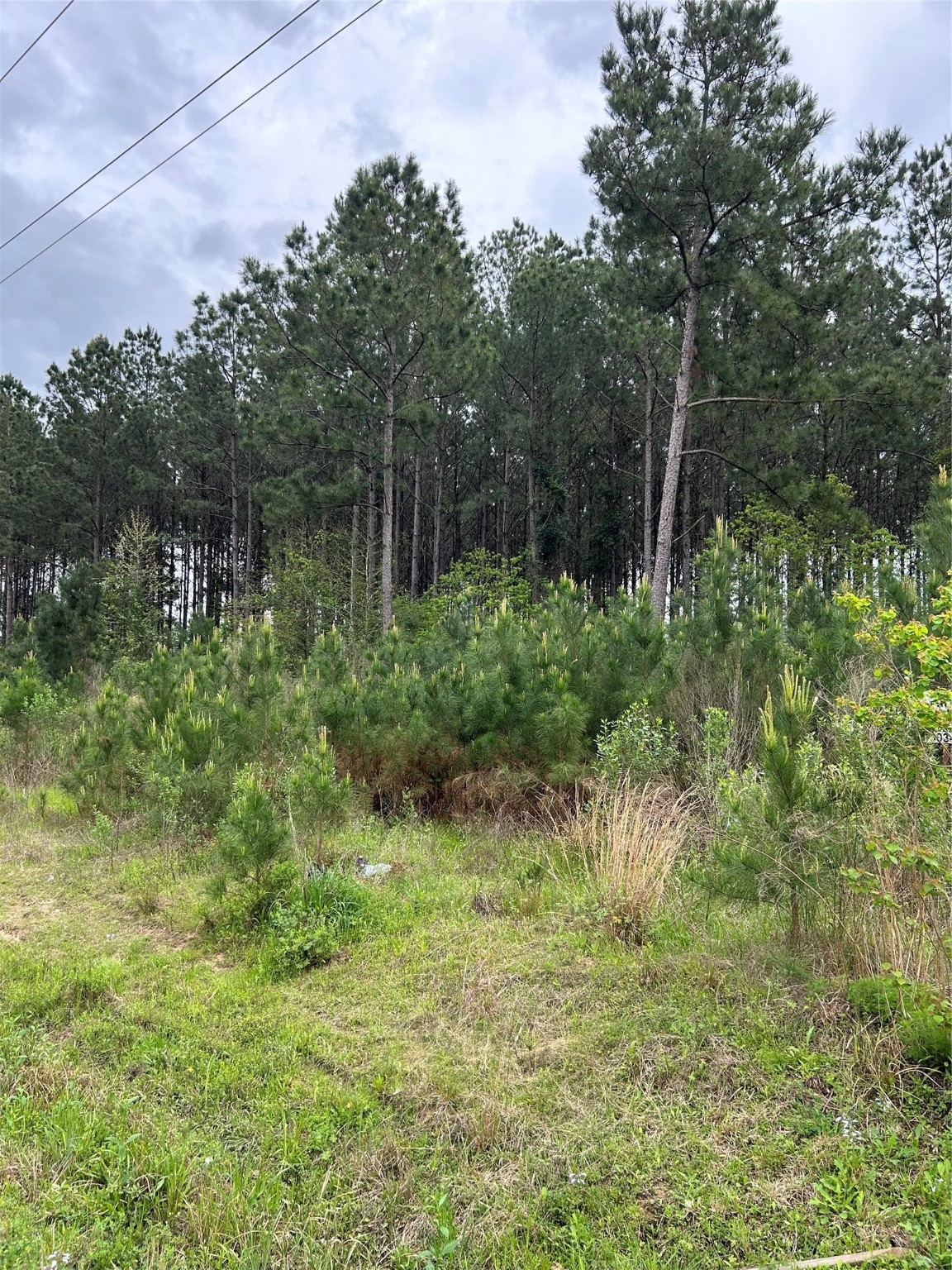 2966 County Road 3545 Property Photo 17