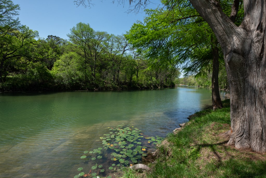 850 Bluff Ridge Court Property Photo 1