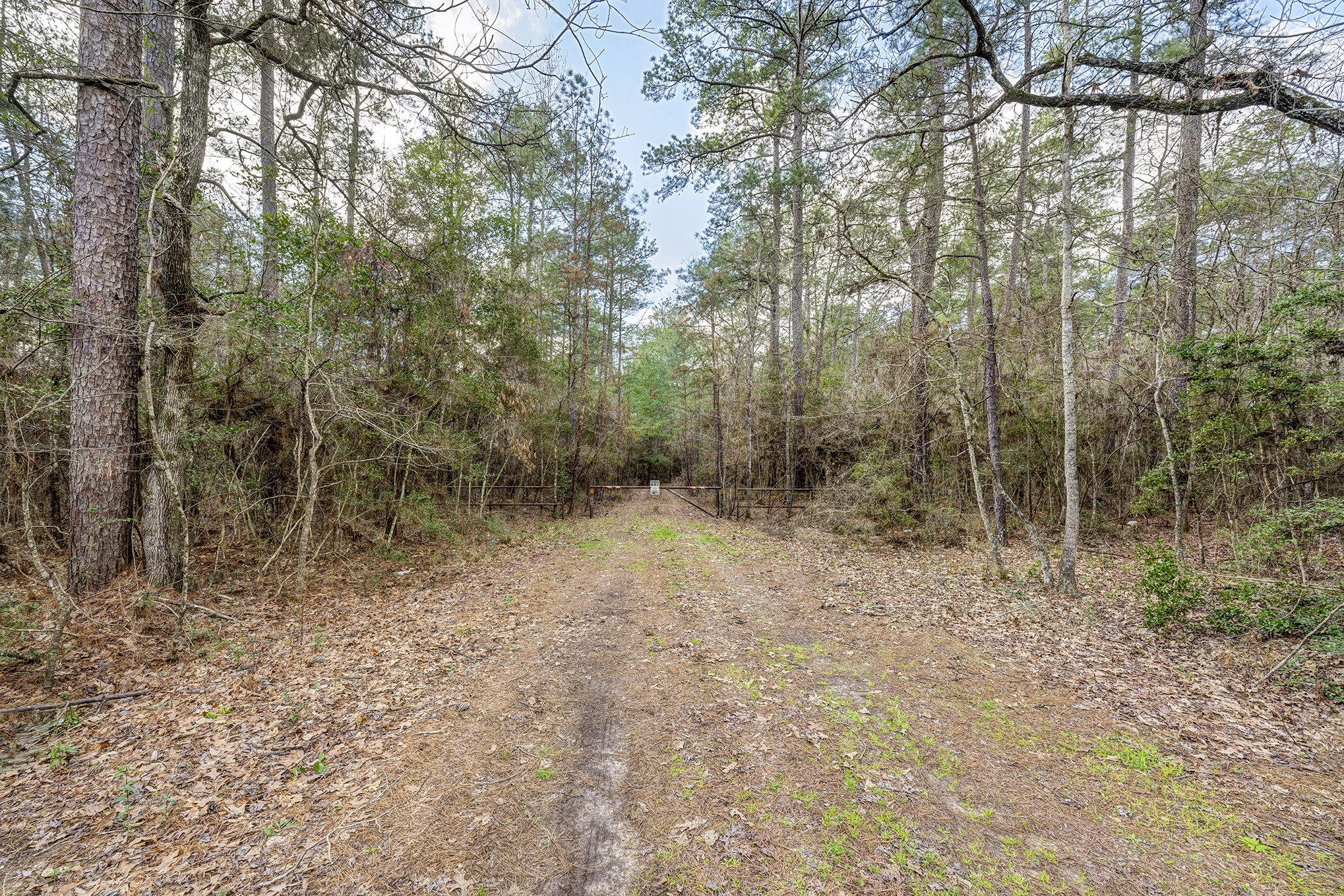 Off Fm 1725 Road Property Photo