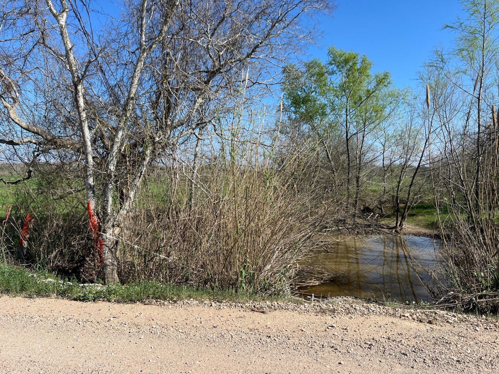 001 Blezinger Road Property Photo 13