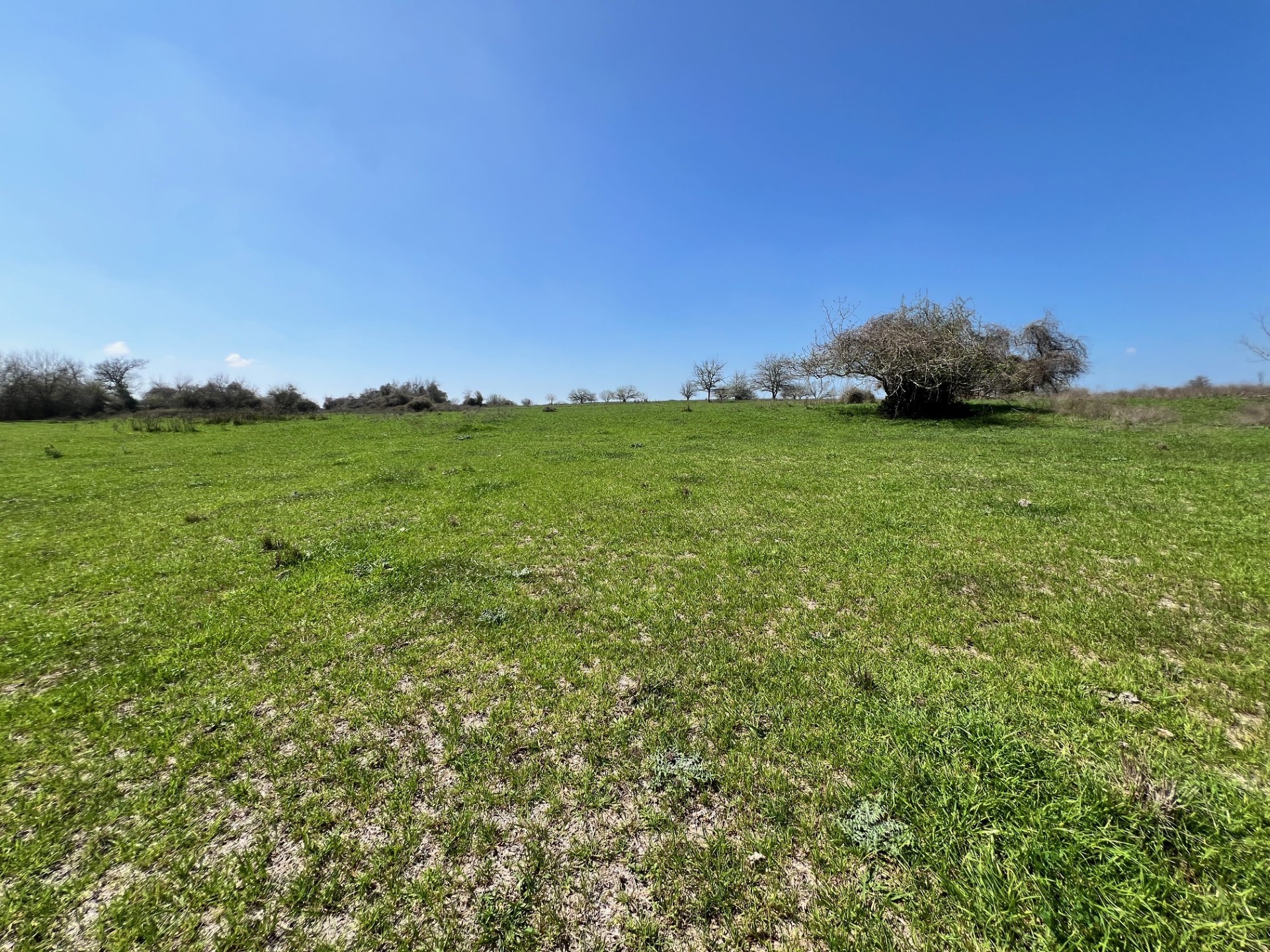 001 Blezinger Road Property Photo 21