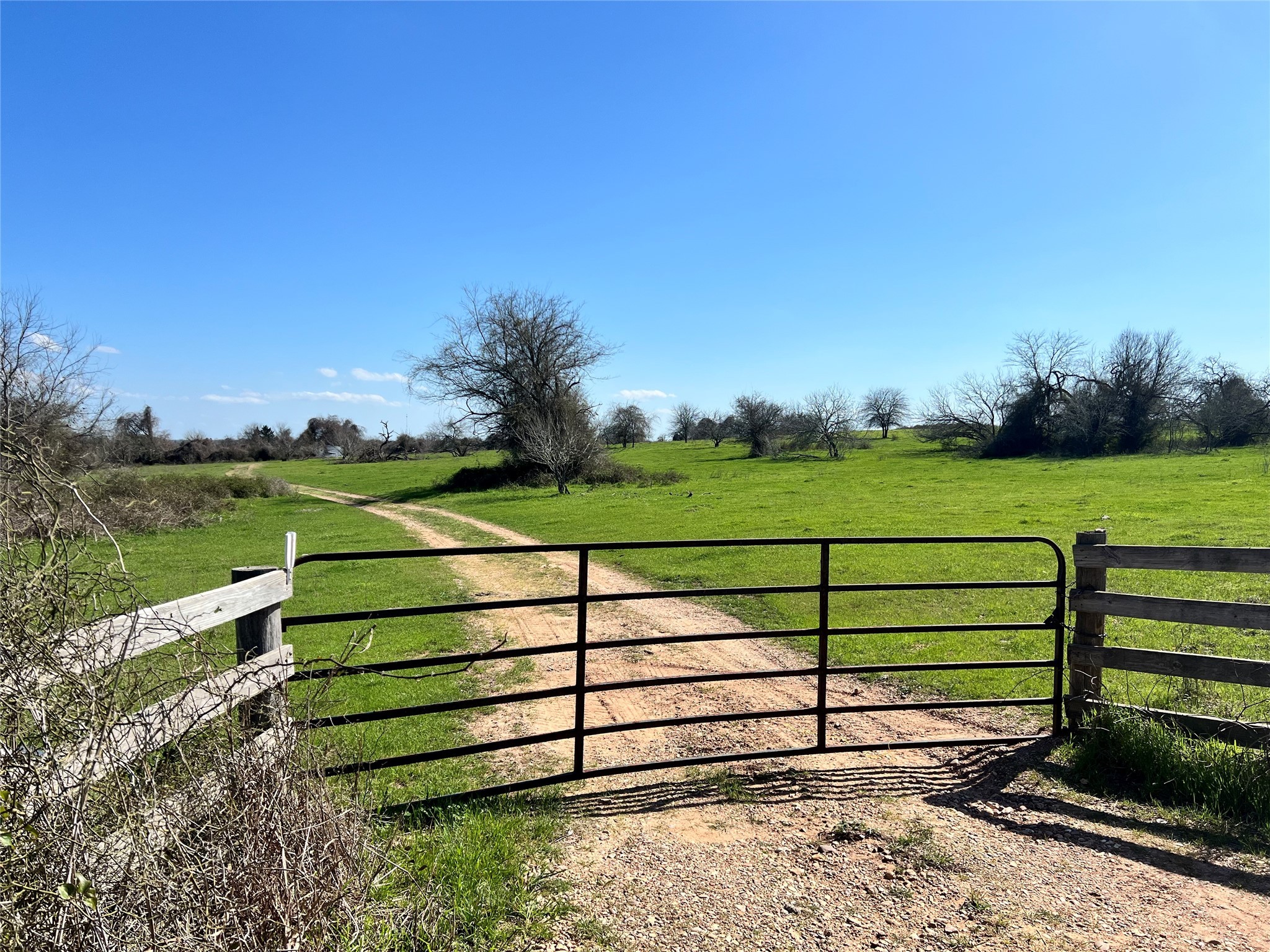 001 Blezinger Road Property Photo 35