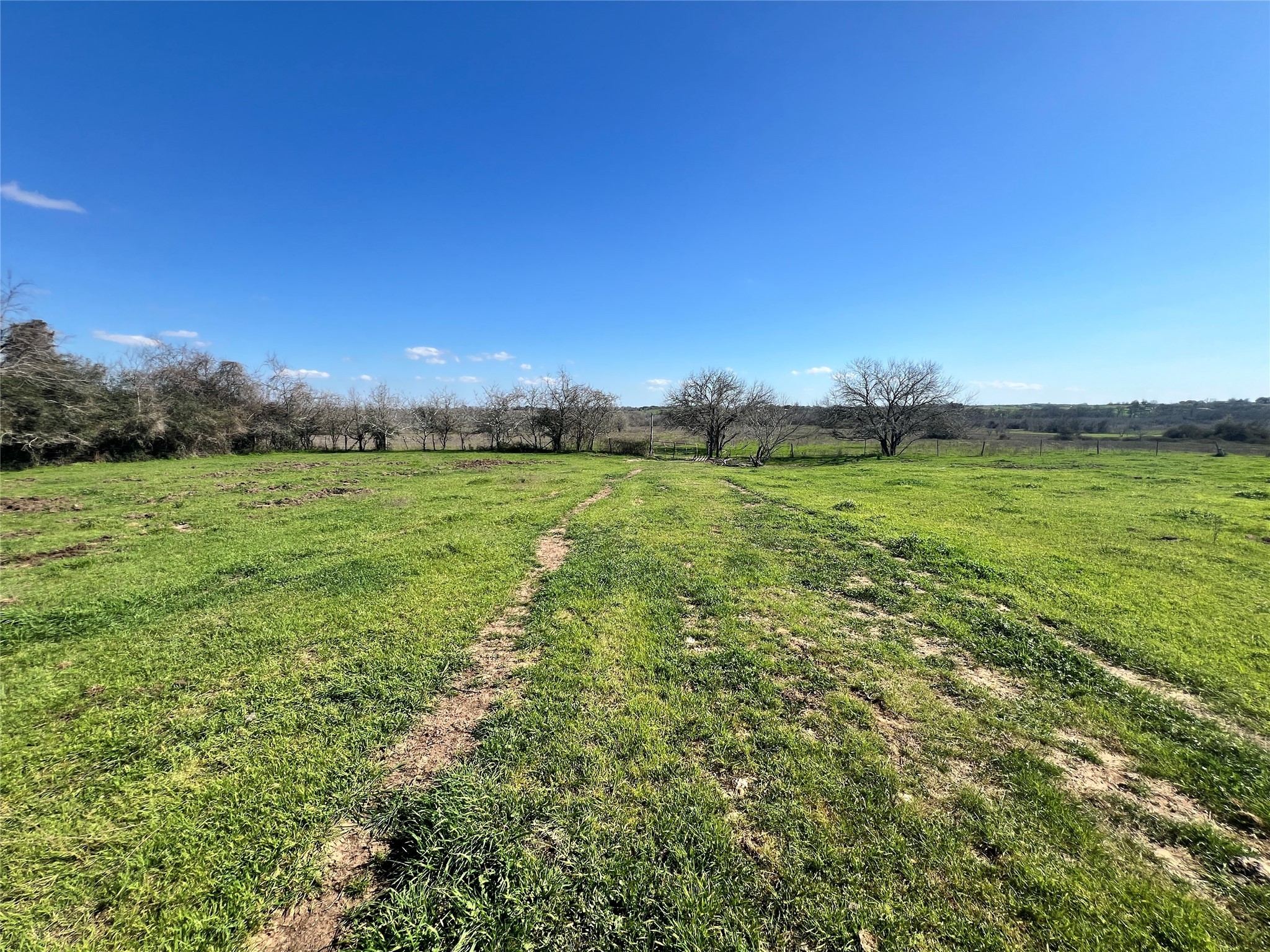 001 Blezinger Road Property Photo 36