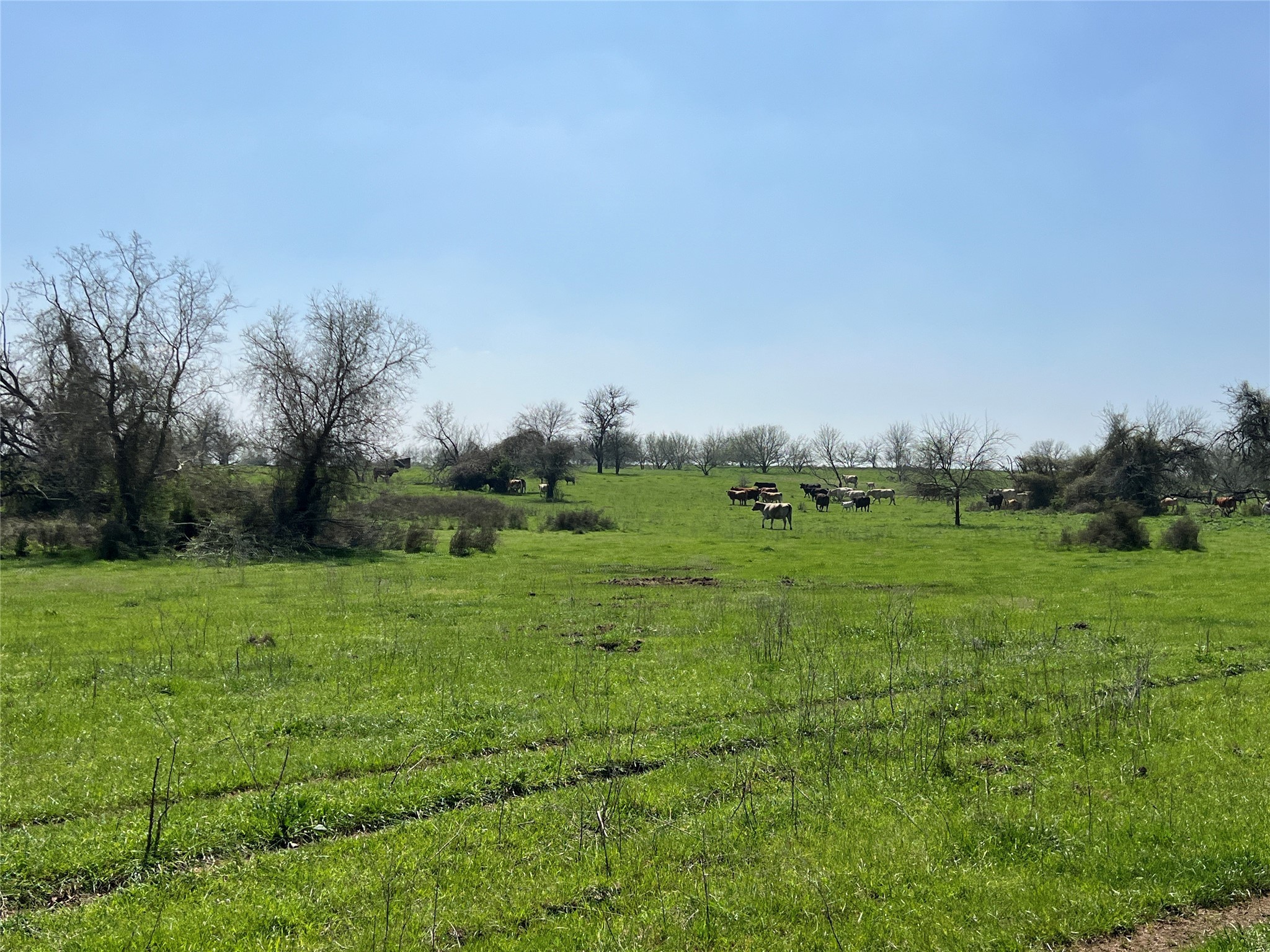 001 Blezinger Road Property Photo 40