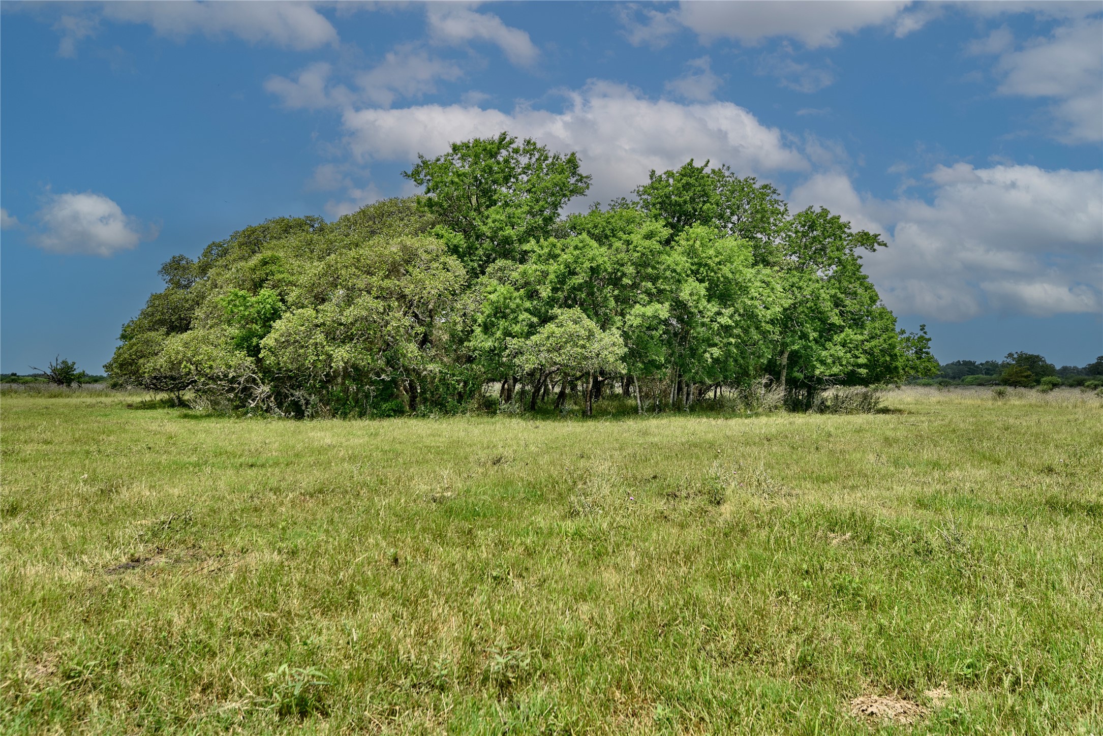 000 Fm 609 Property Photo 1